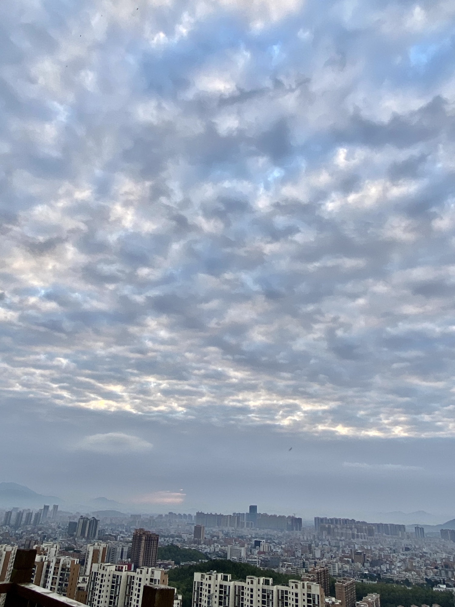 大面岭旅行图片 2