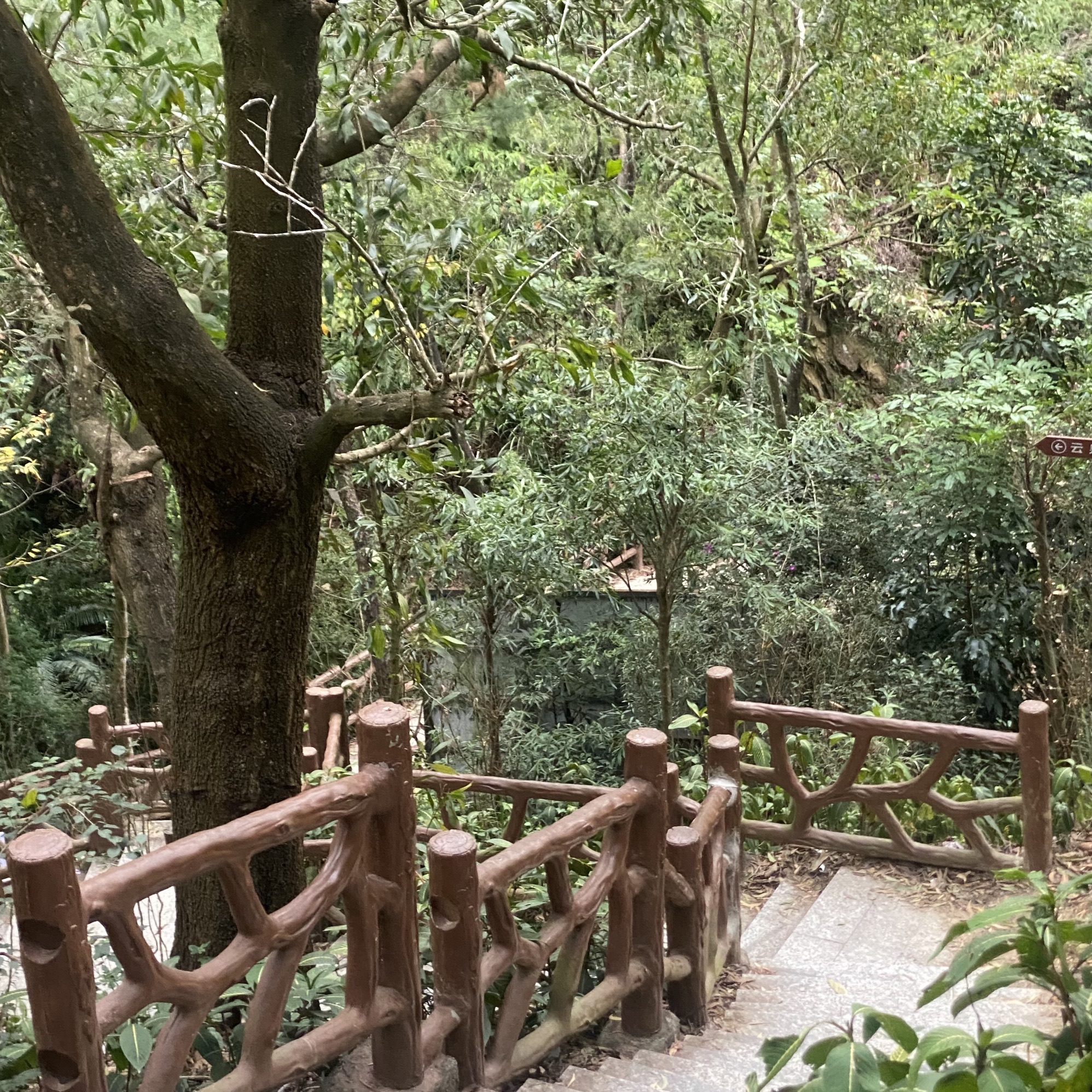 大面岭旅行图片 3