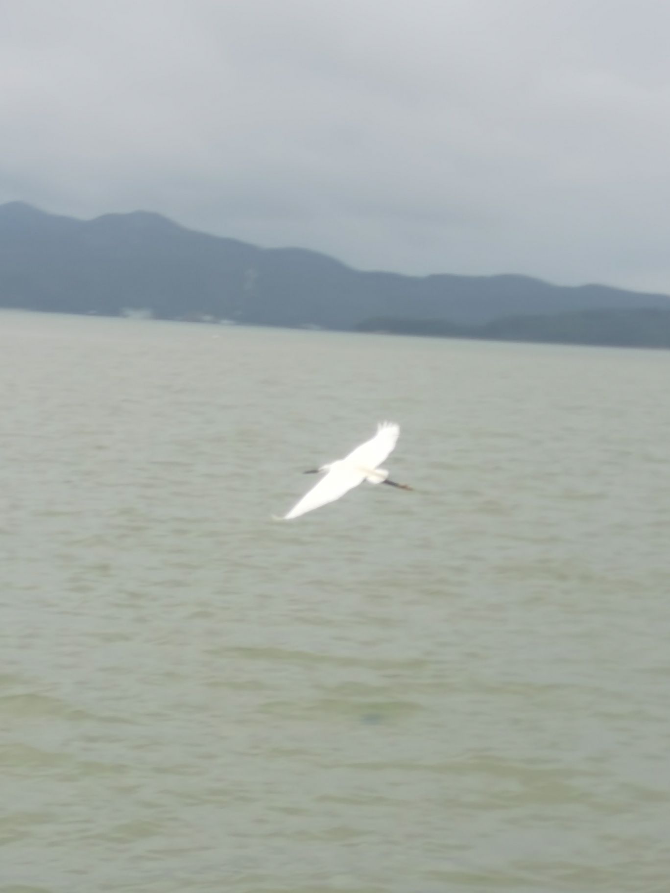 大面岭旅行图片 3
