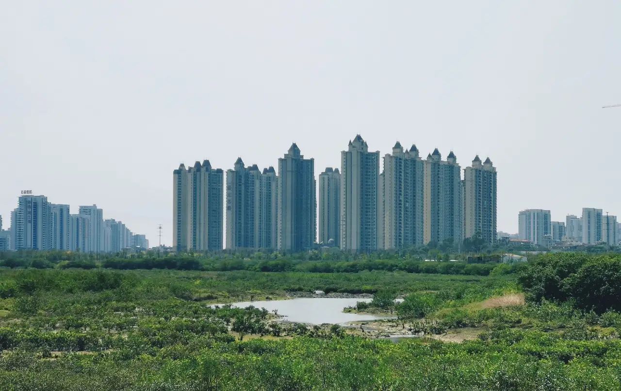 广西北海滨海国家湿地公园旅行图片 3