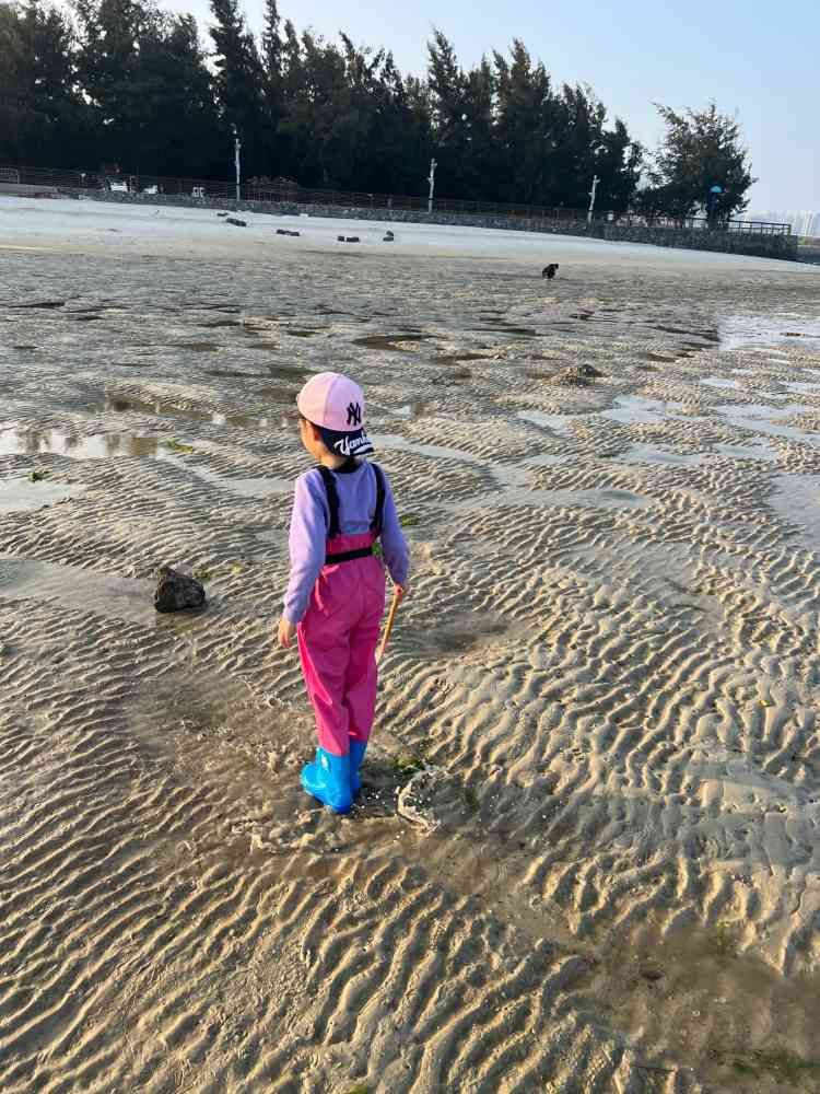广西北海滨海国家湿地公园旅行图片 3