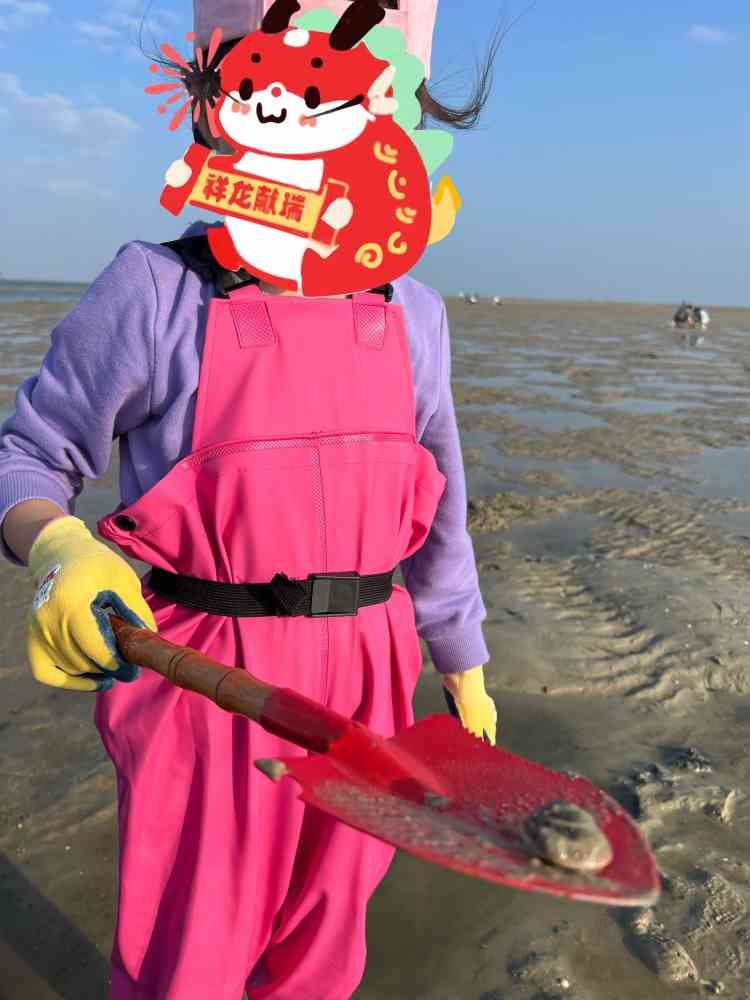 广西北海滨海国家湿地公园旅行图片 2