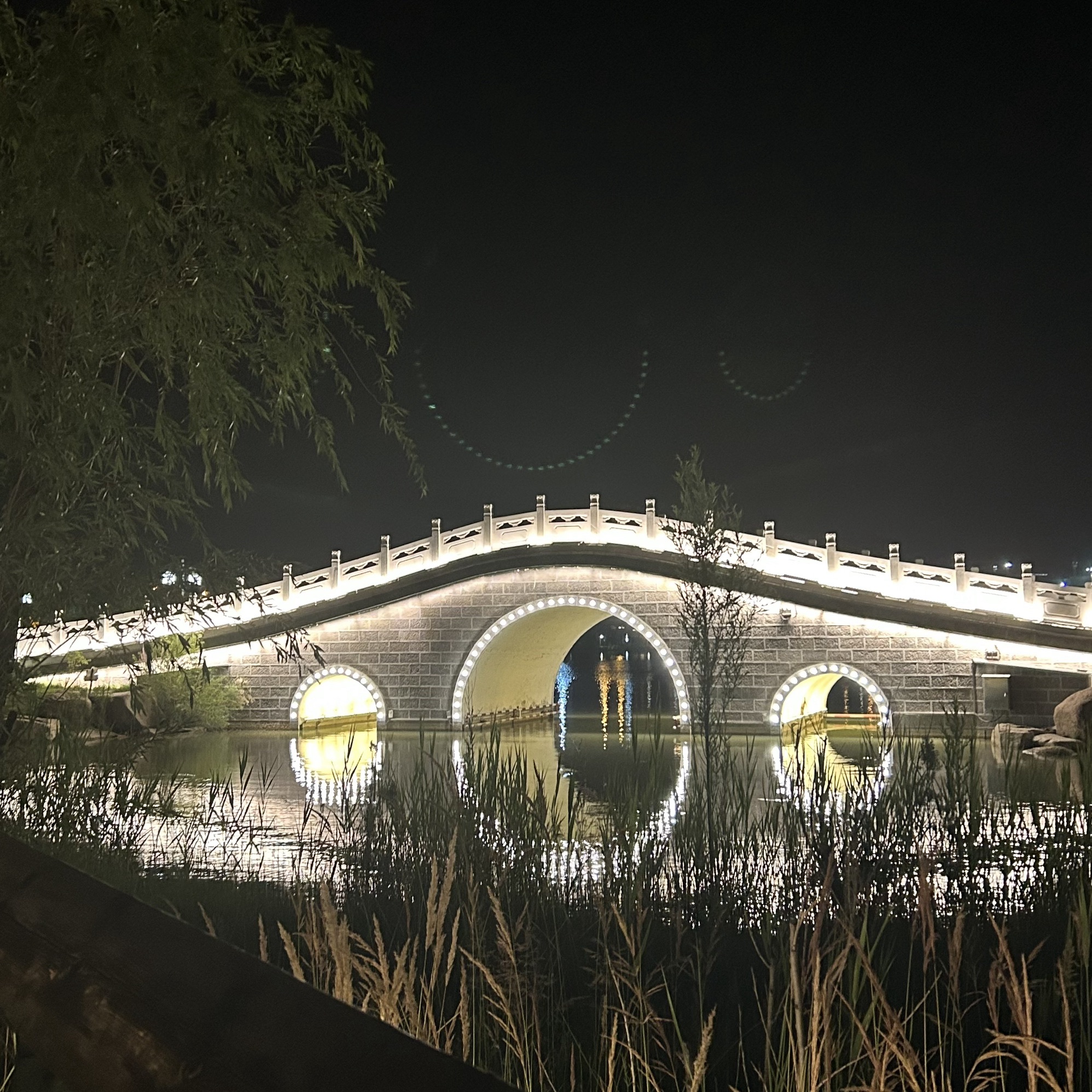 如意湖公园旅行图片 1
