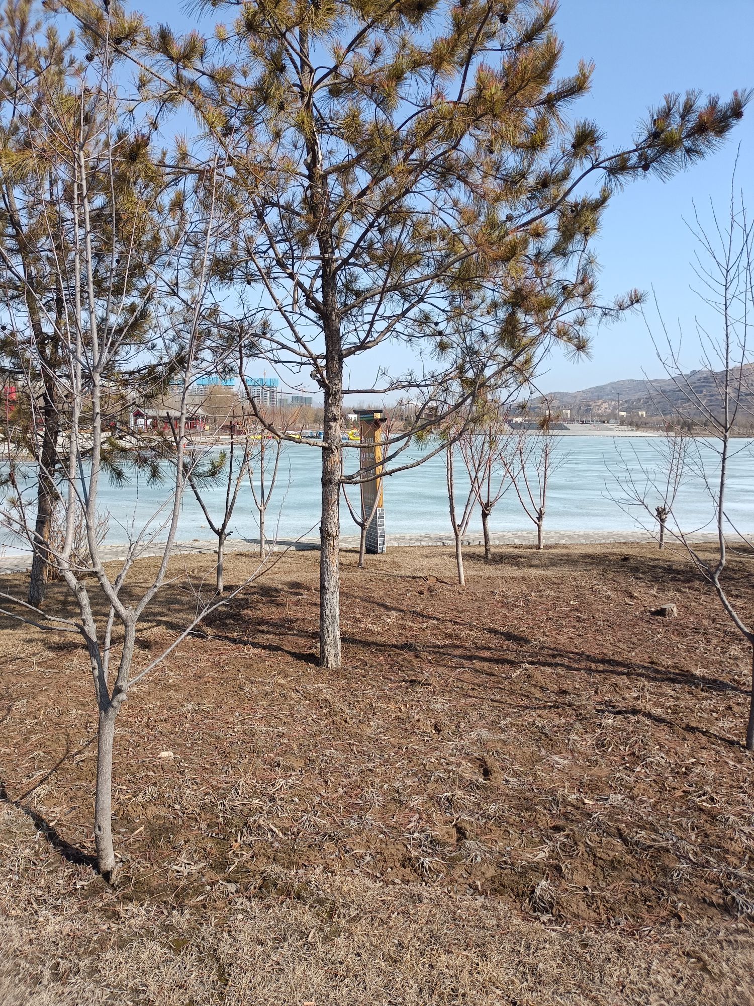 如意湖公园旅行图片 2