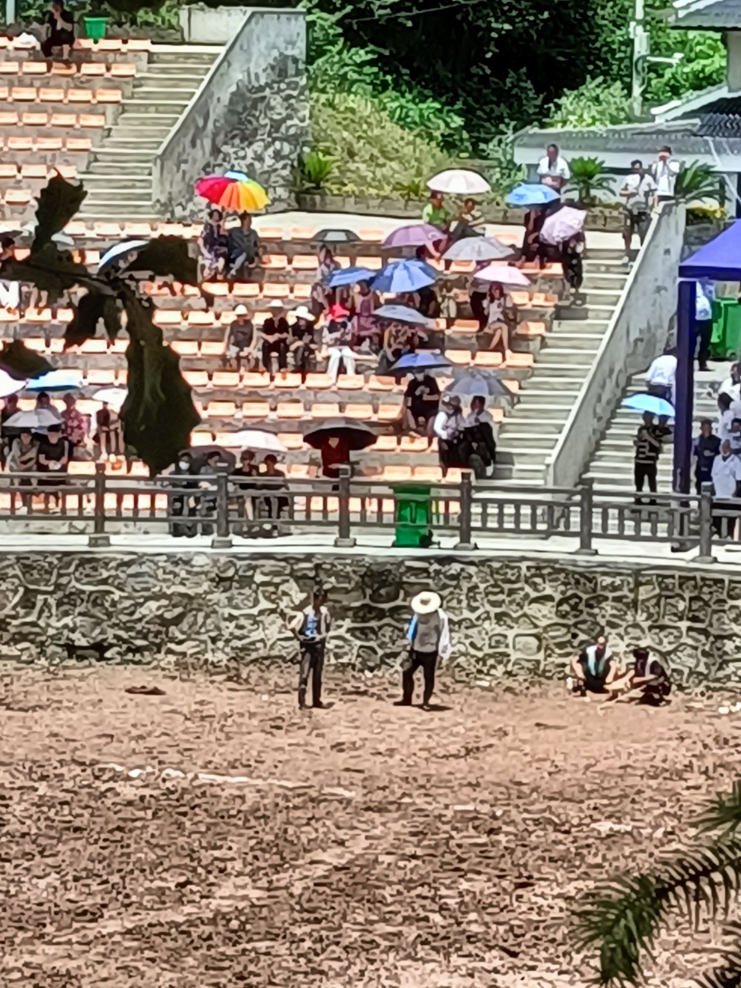 后山苗族布依族乡摇钱树景区旅行图片 3