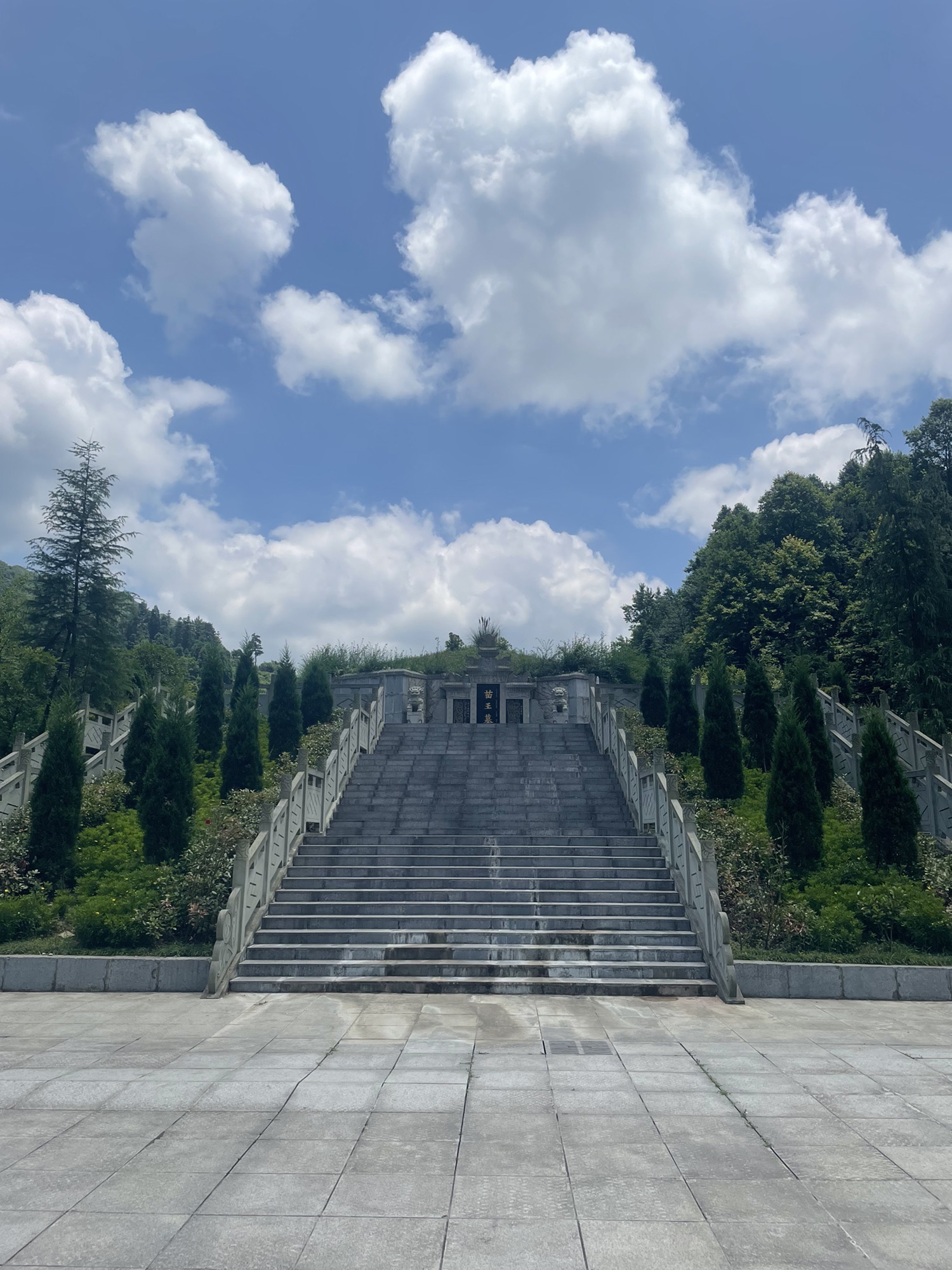 后山苗族布依族乡摇钱树景区旅行图片 2