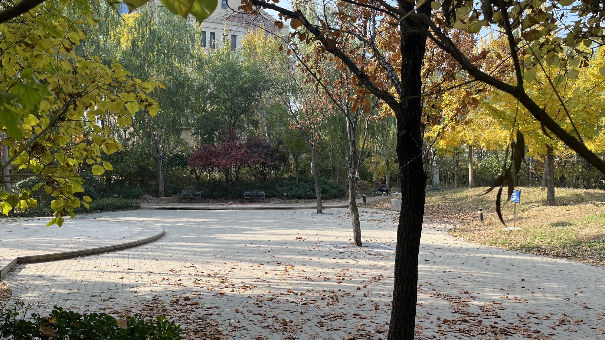 翡丽公园