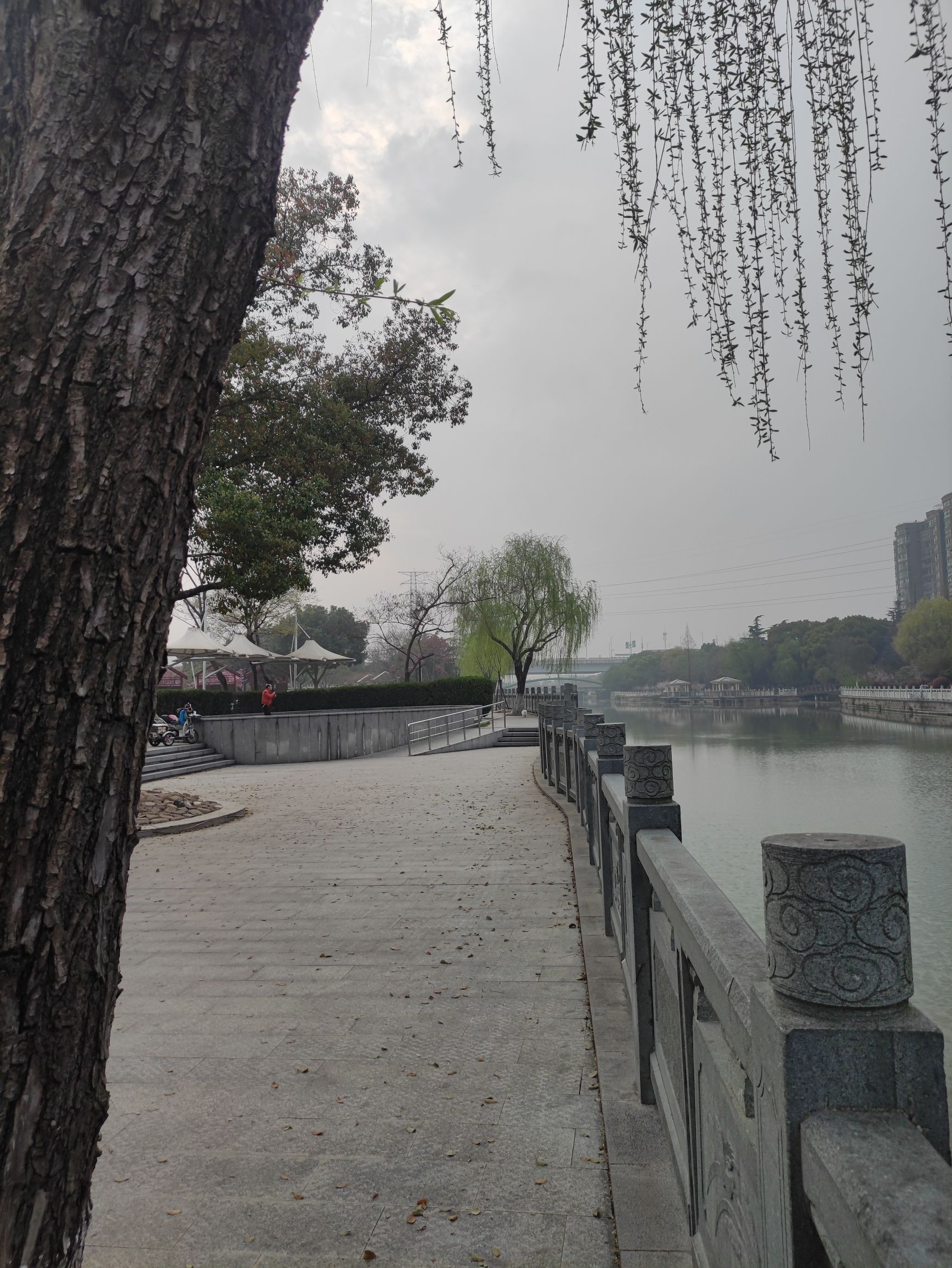 洪波公园旅行图片 2