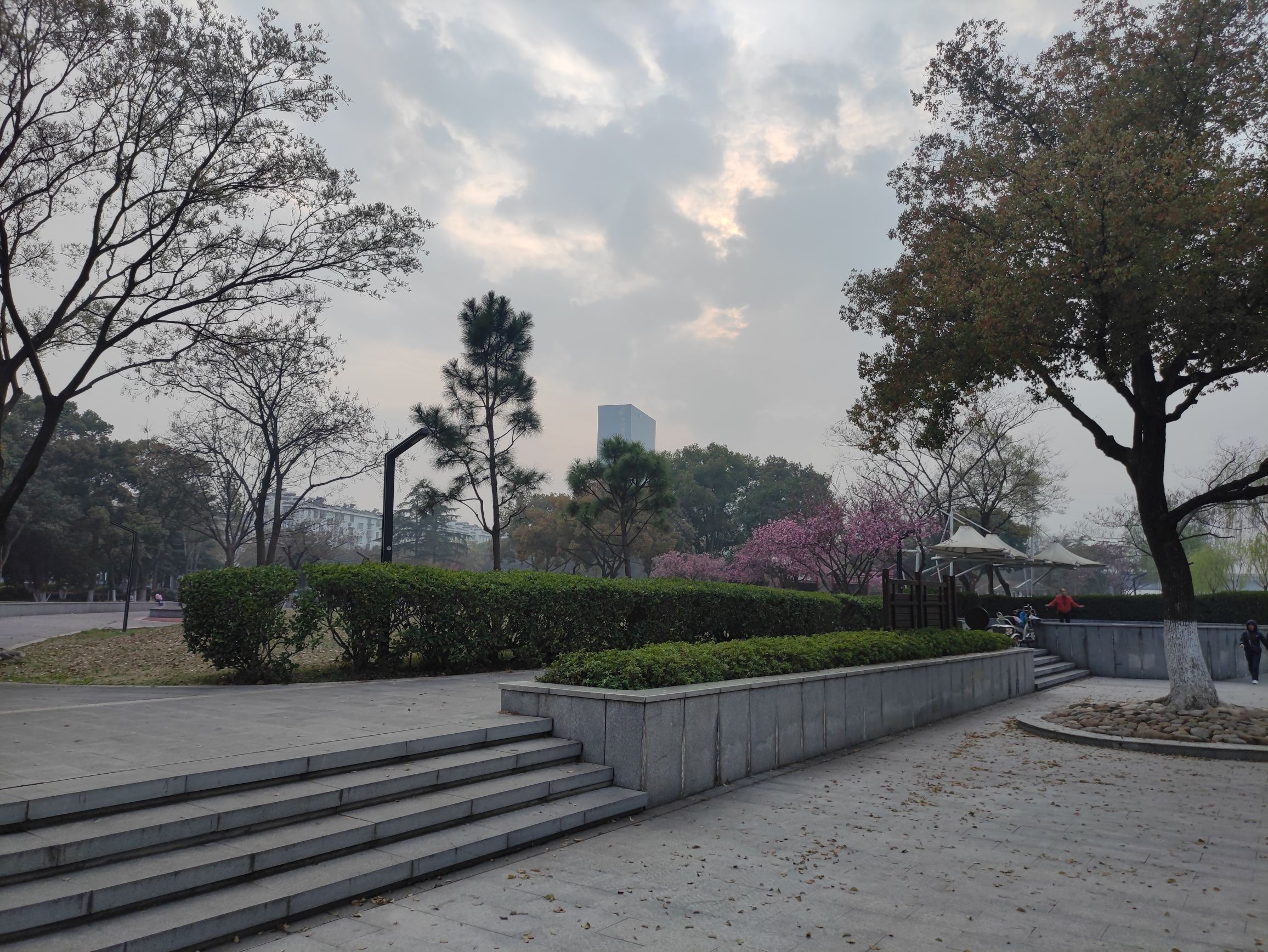 洪波公园旅行图片 1