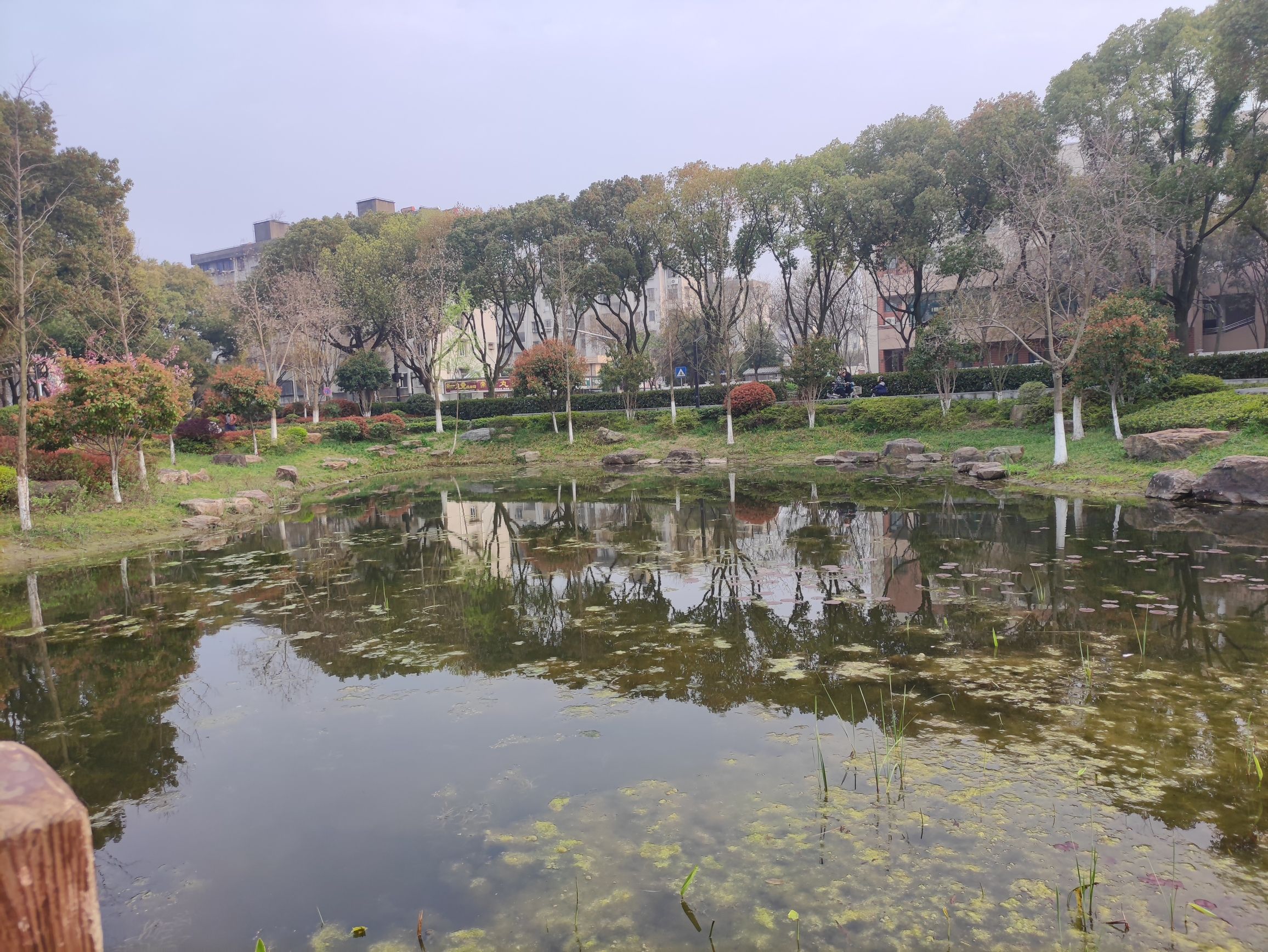 洪波公园旅行图片 3