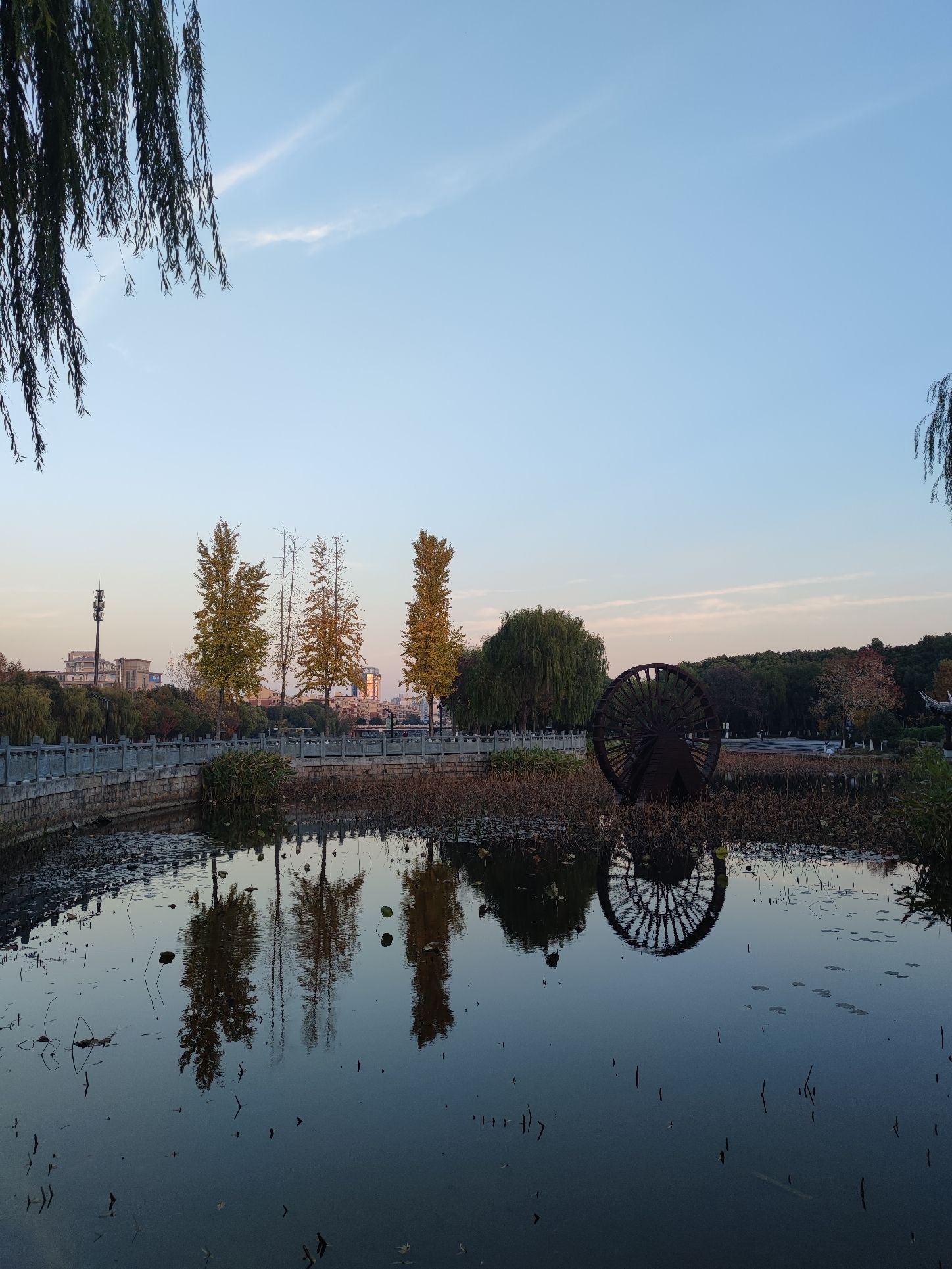 洪波公园旅行图片 1