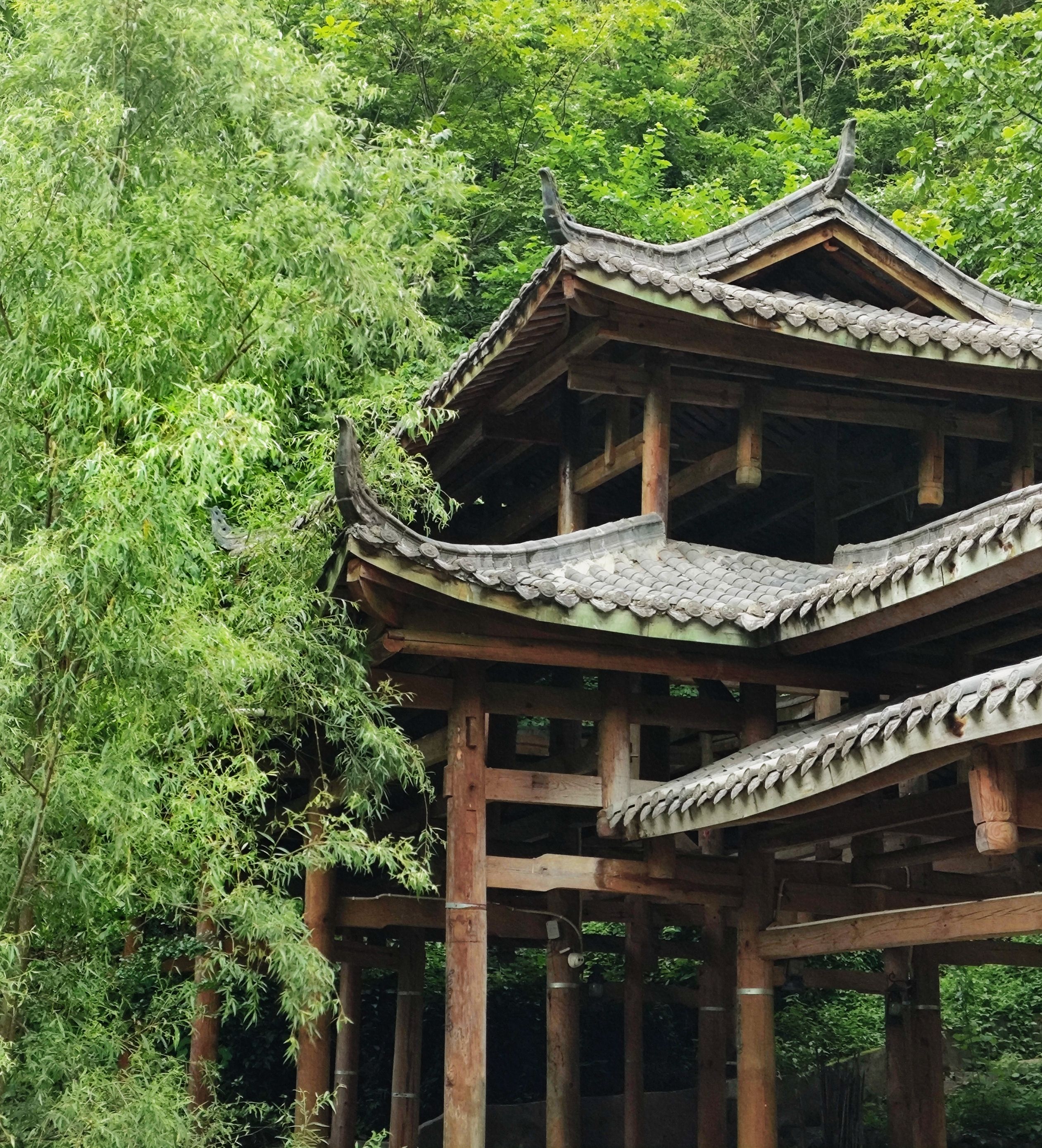 神道谷旅行图片 1