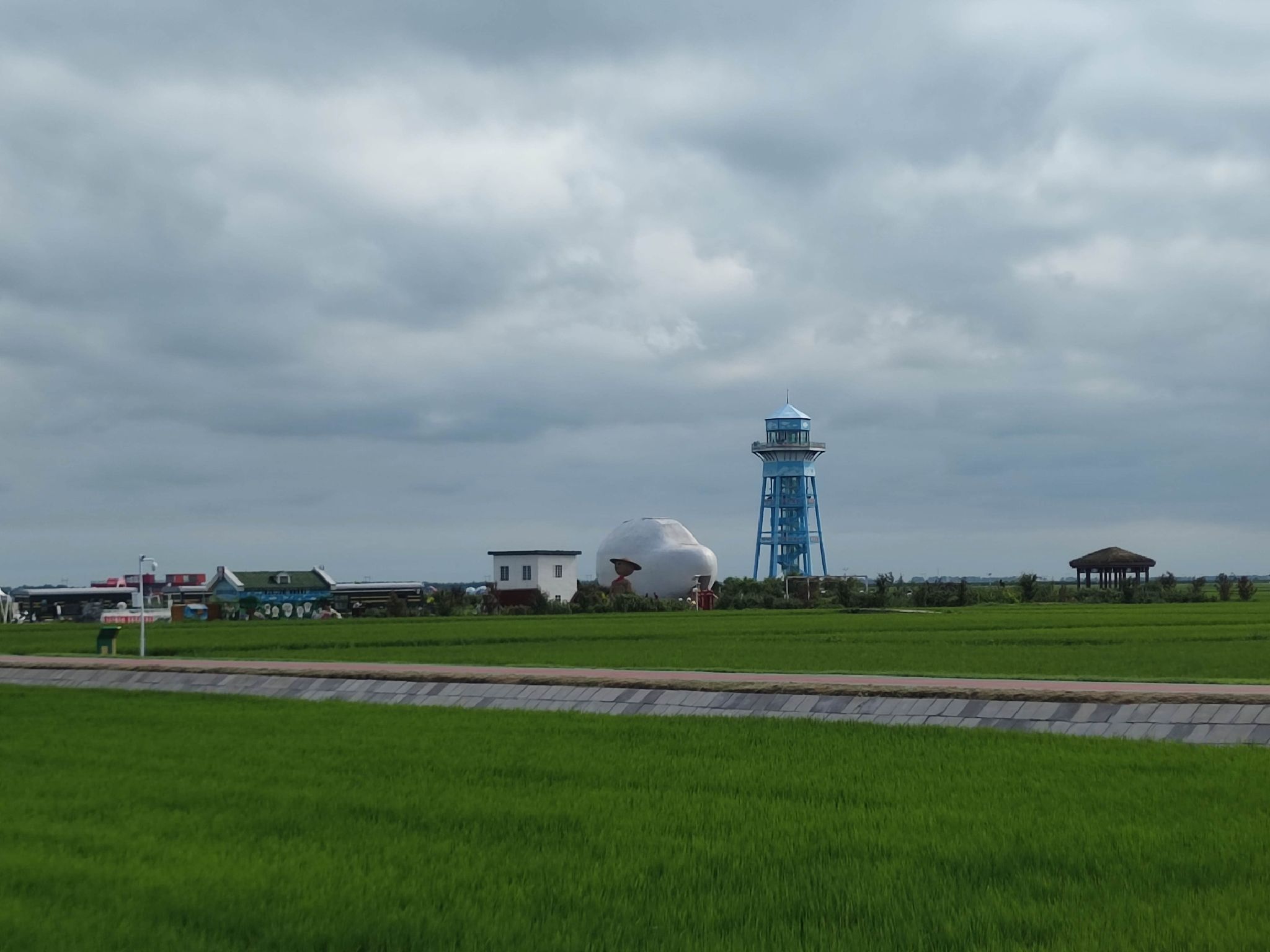 万亩水稻公园旅行图片 1
