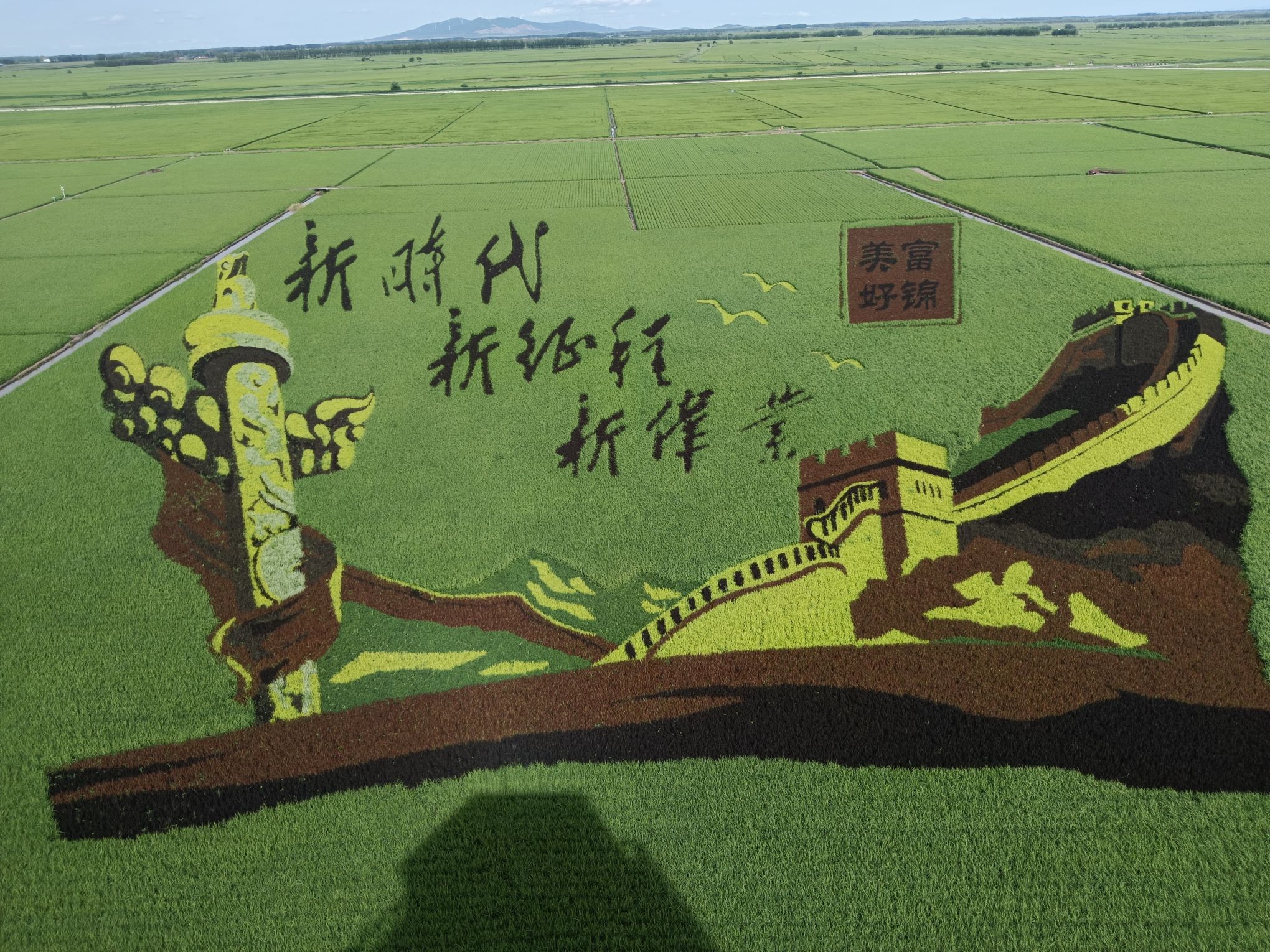 万亩水稻公园旅行图片 1