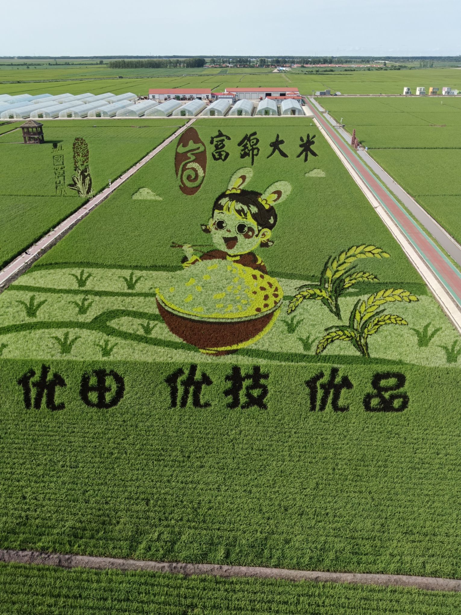 万亩水稻公园
