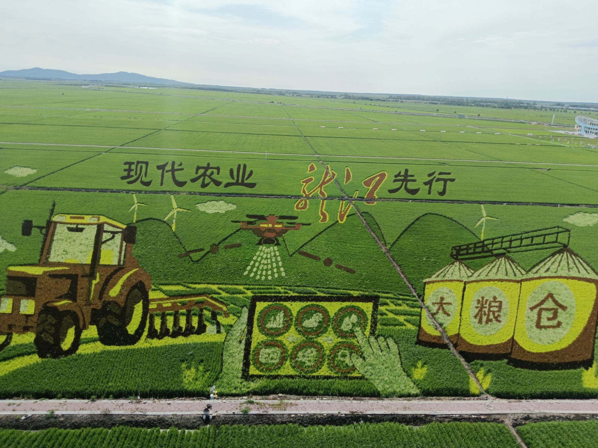 万亩水稻公园旅行图片 2