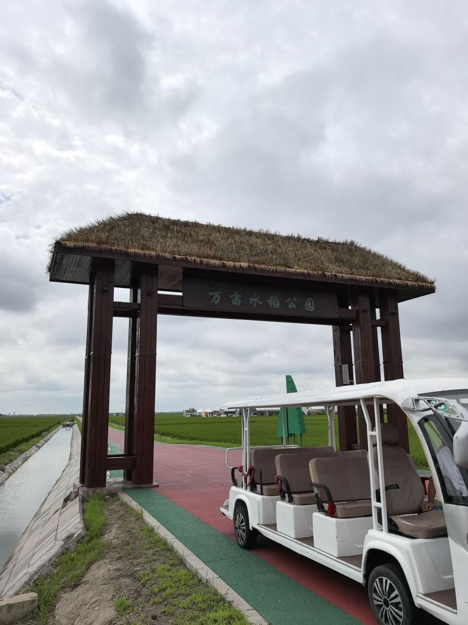 万亩水稻公园旅行图片 3
