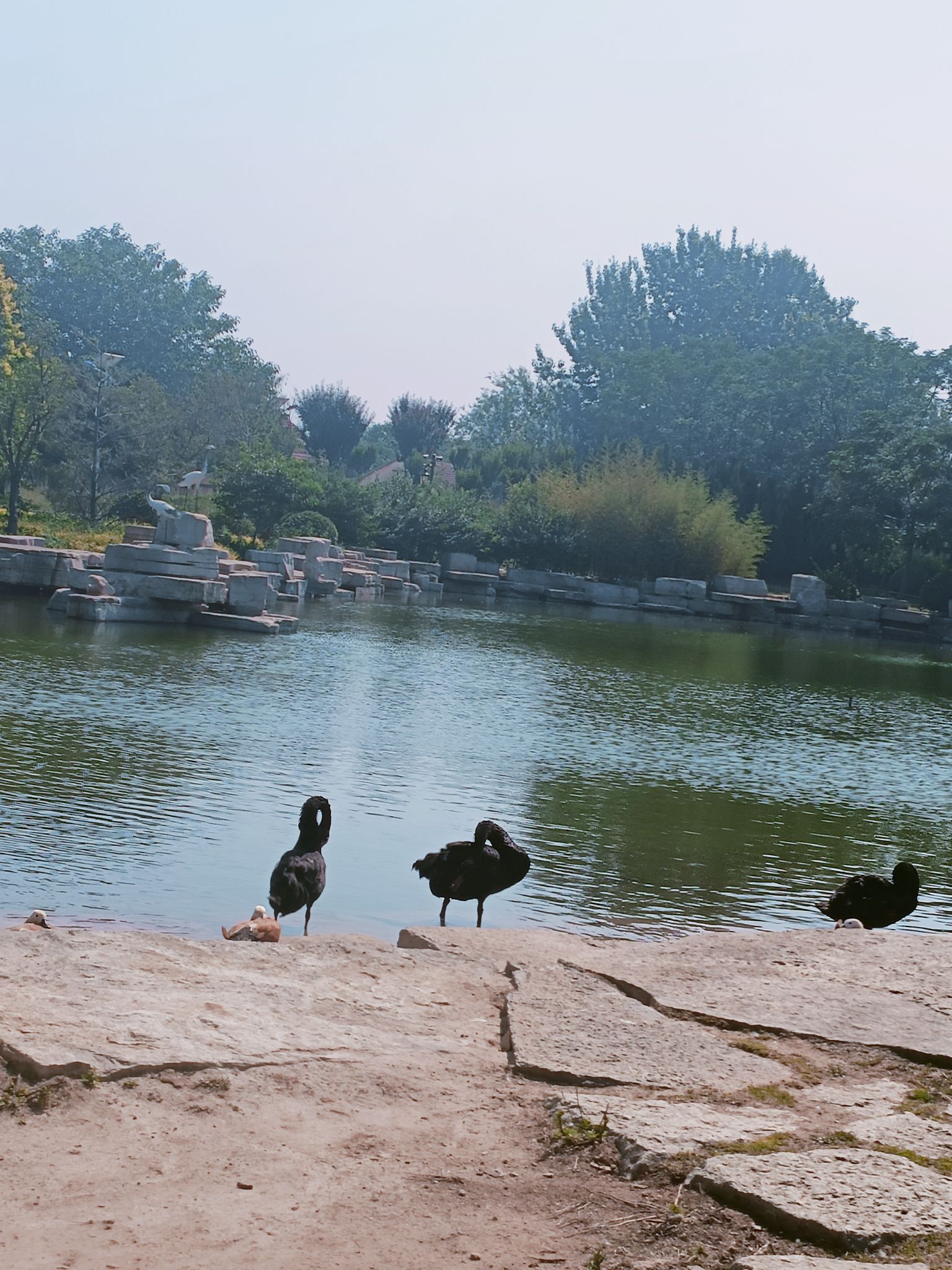 嘉元部落旅行图片 1