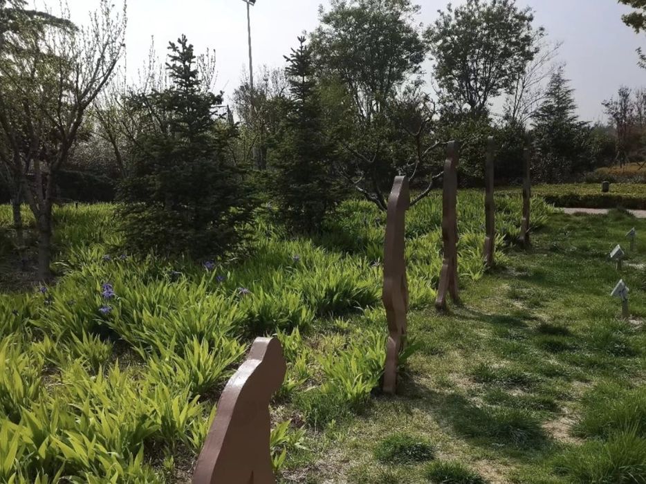 嘉元部落旅行图片 2