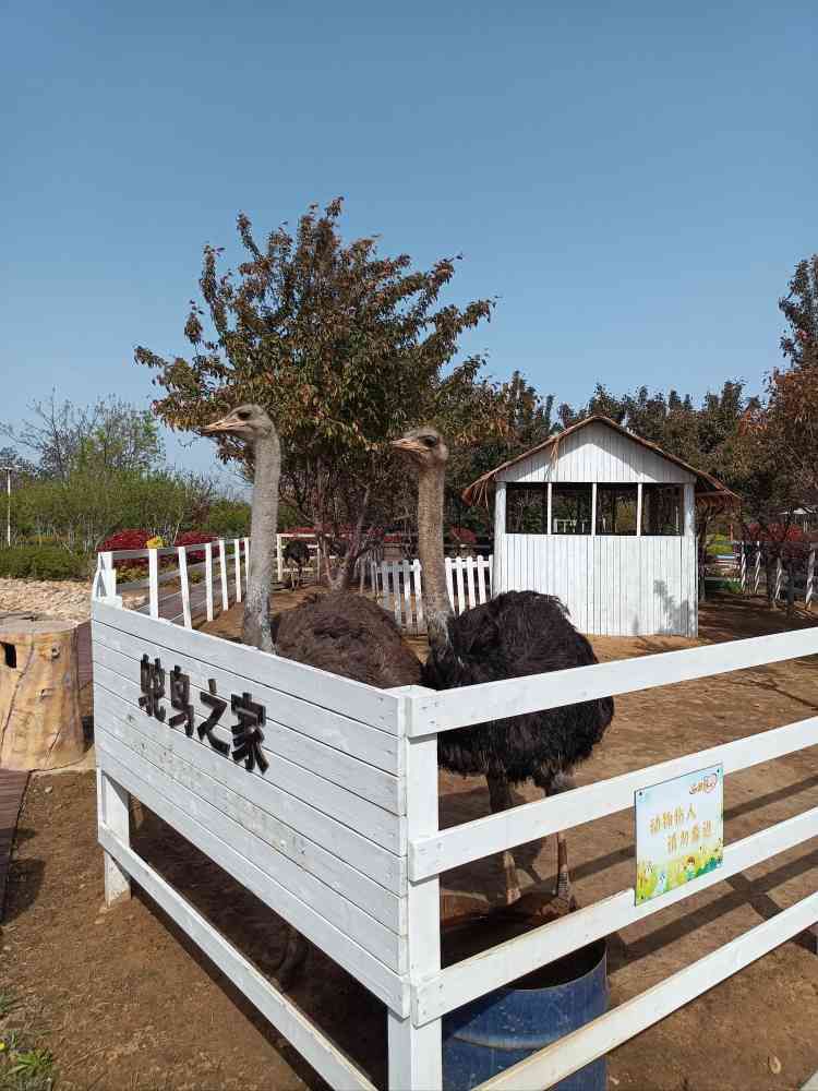 嘉元部落旅行图片 3