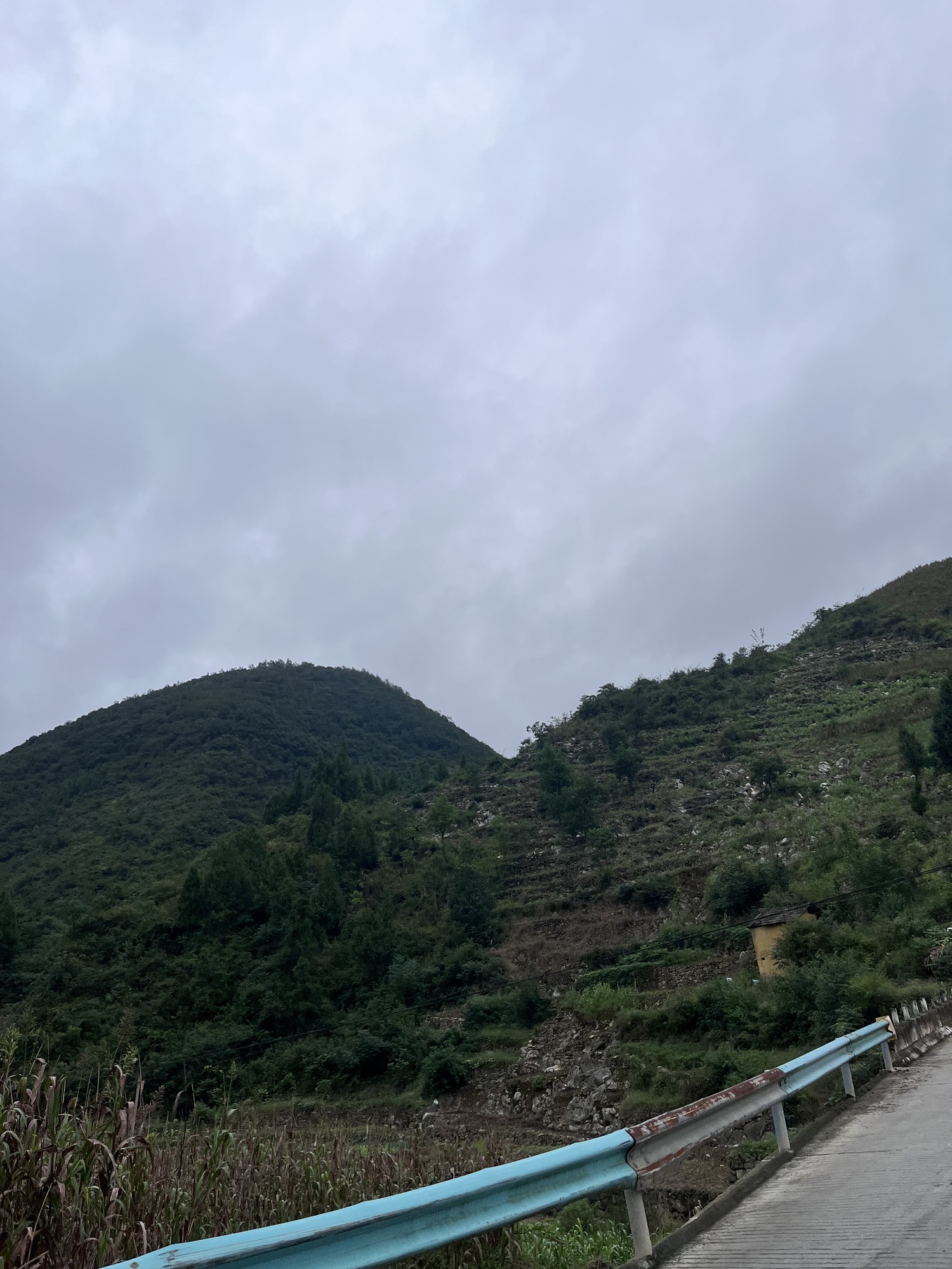 黎民古镇旅行图片 3