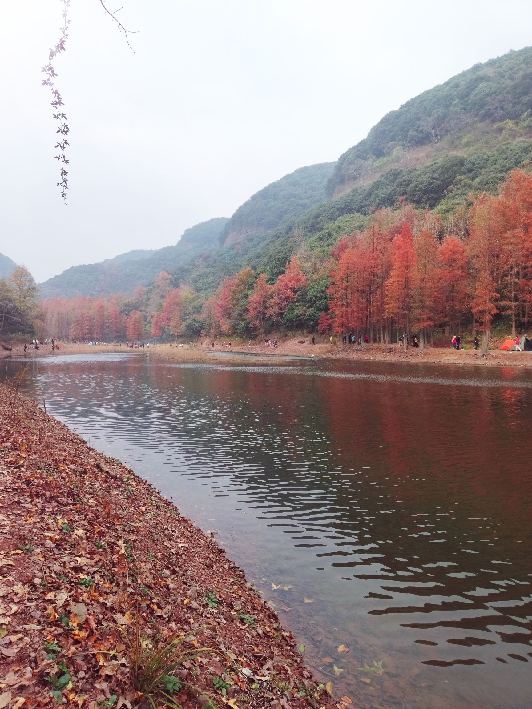 卖柴岙水库旅行图片 1
