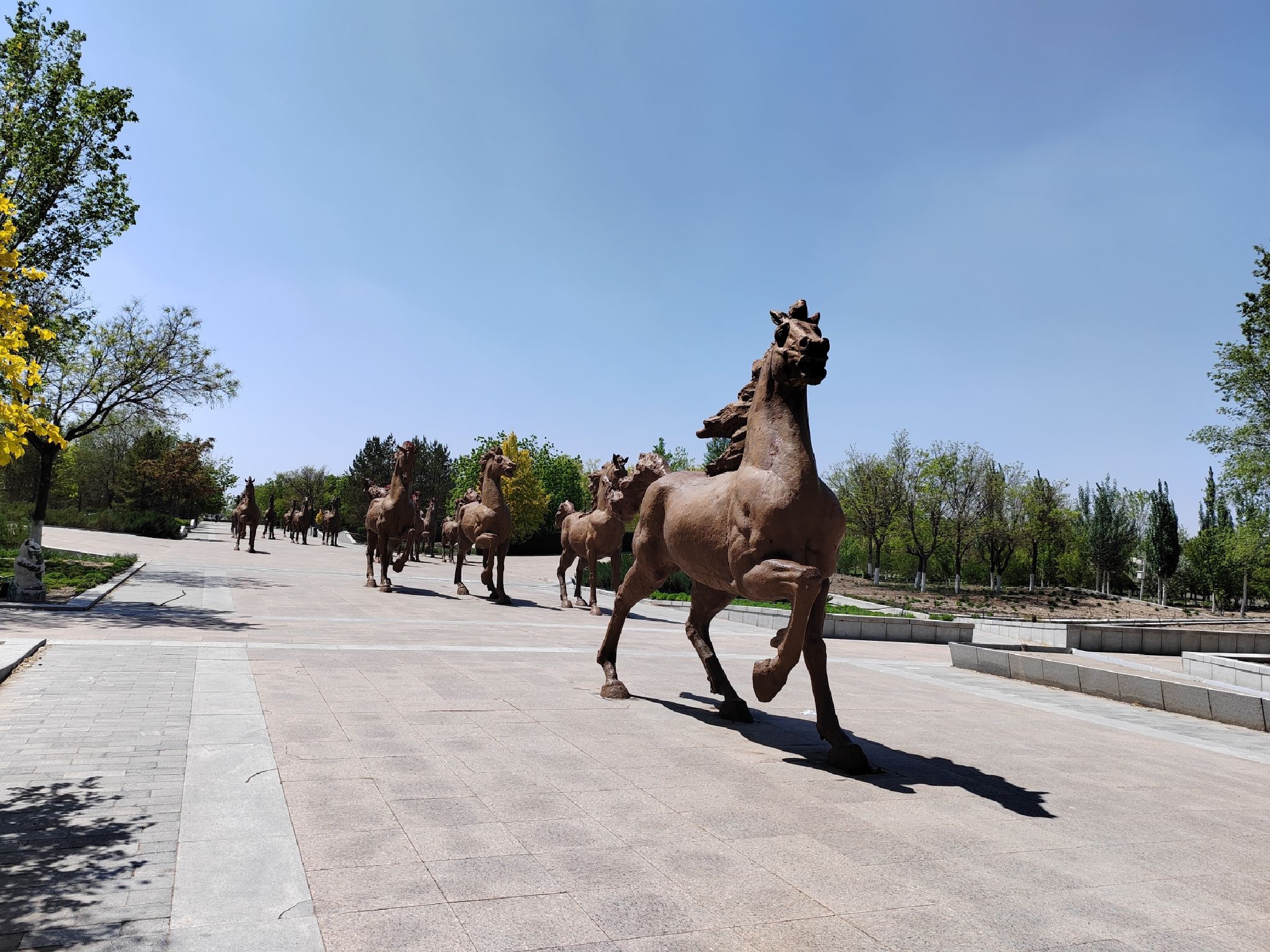 鹰骏广场旅行图片 1