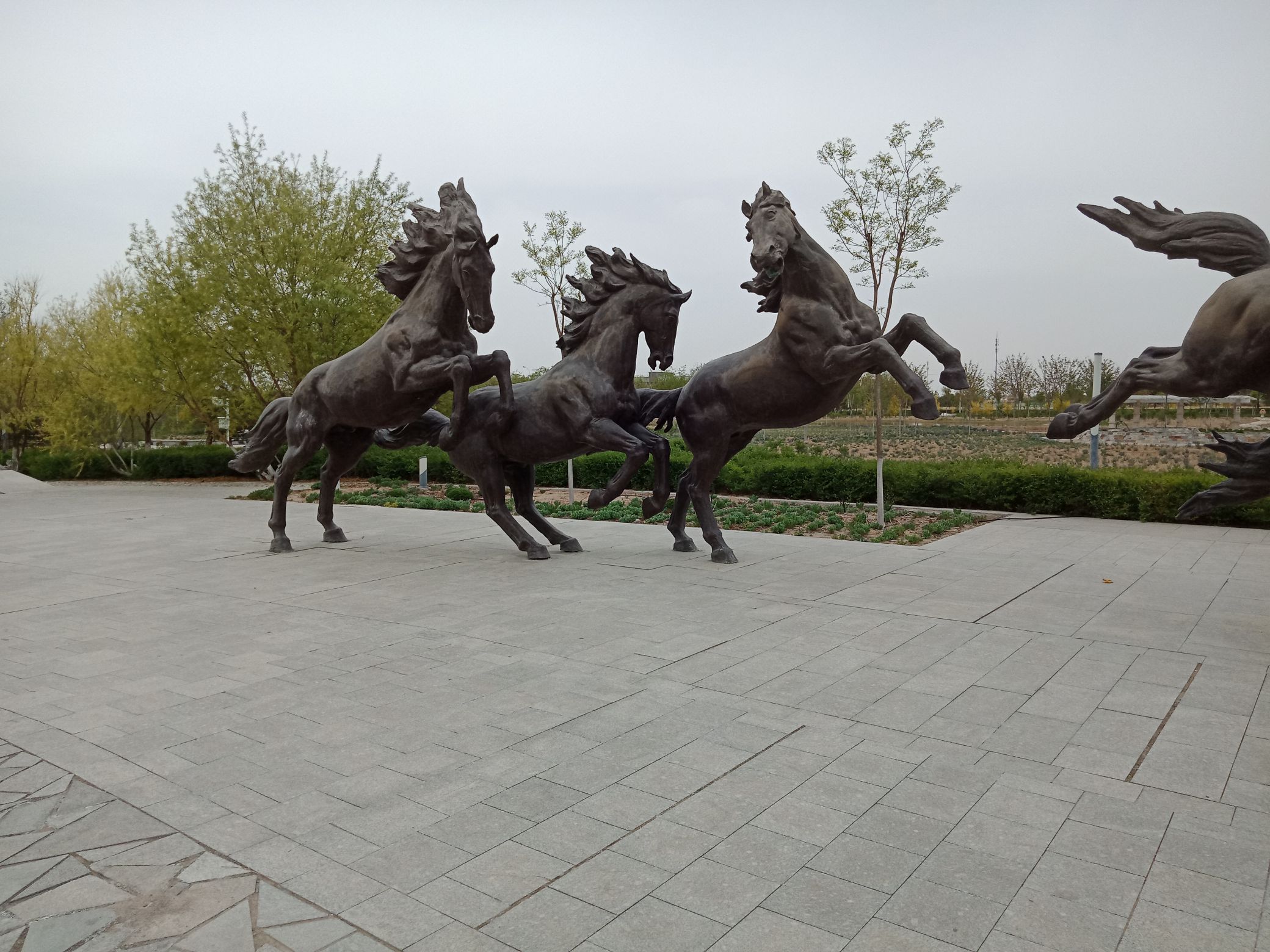 鹰骏广场旅行图片 3