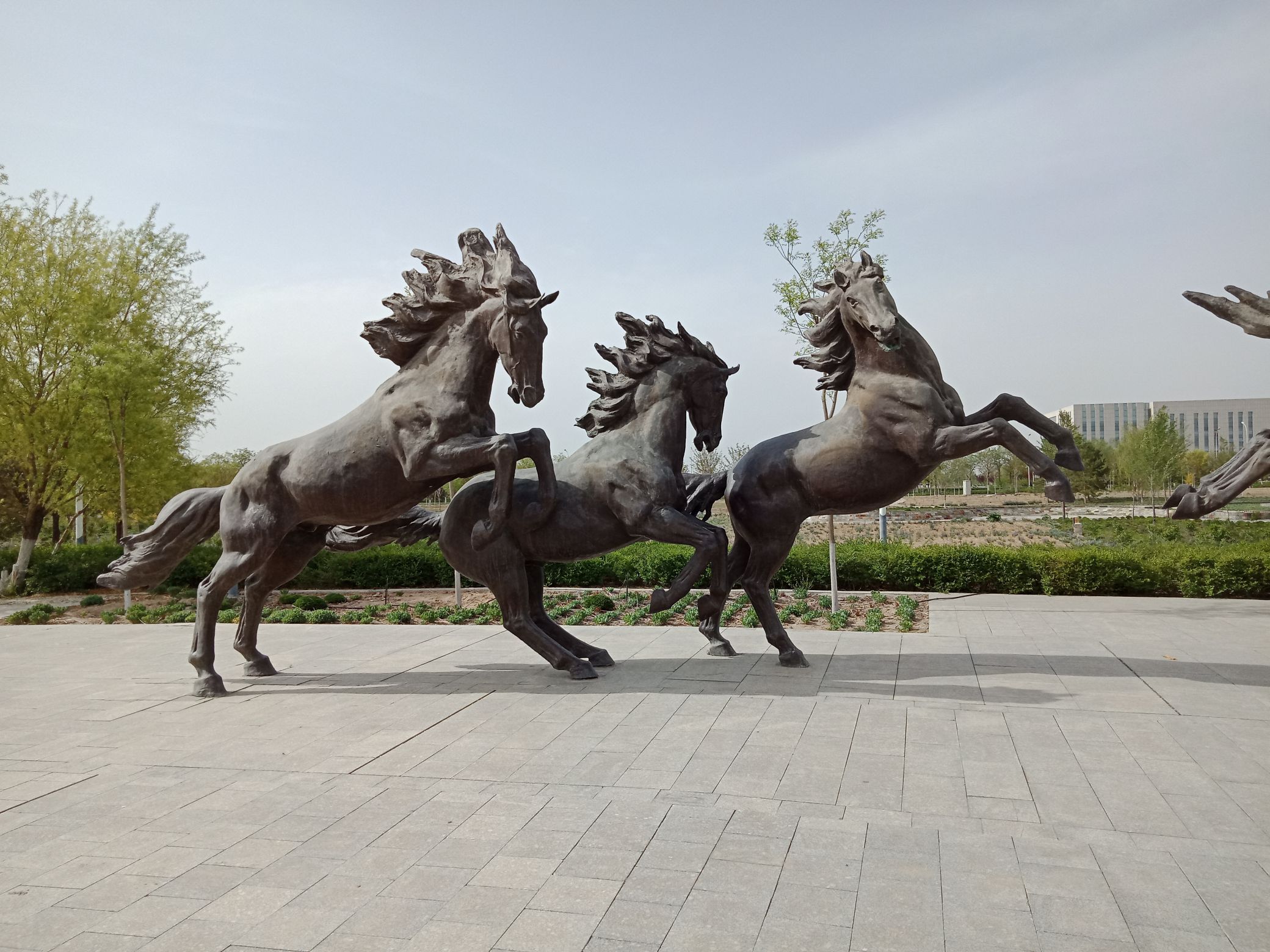 鹰骏广场旅行图片 2