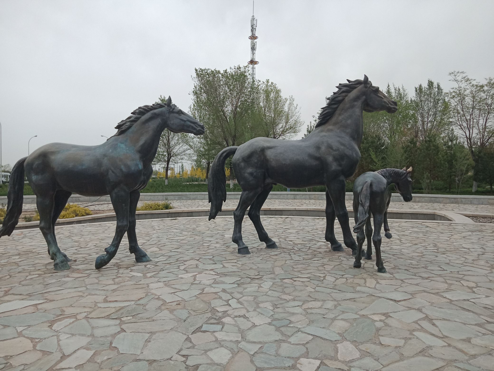 鹰骏广场旅行图片 1
