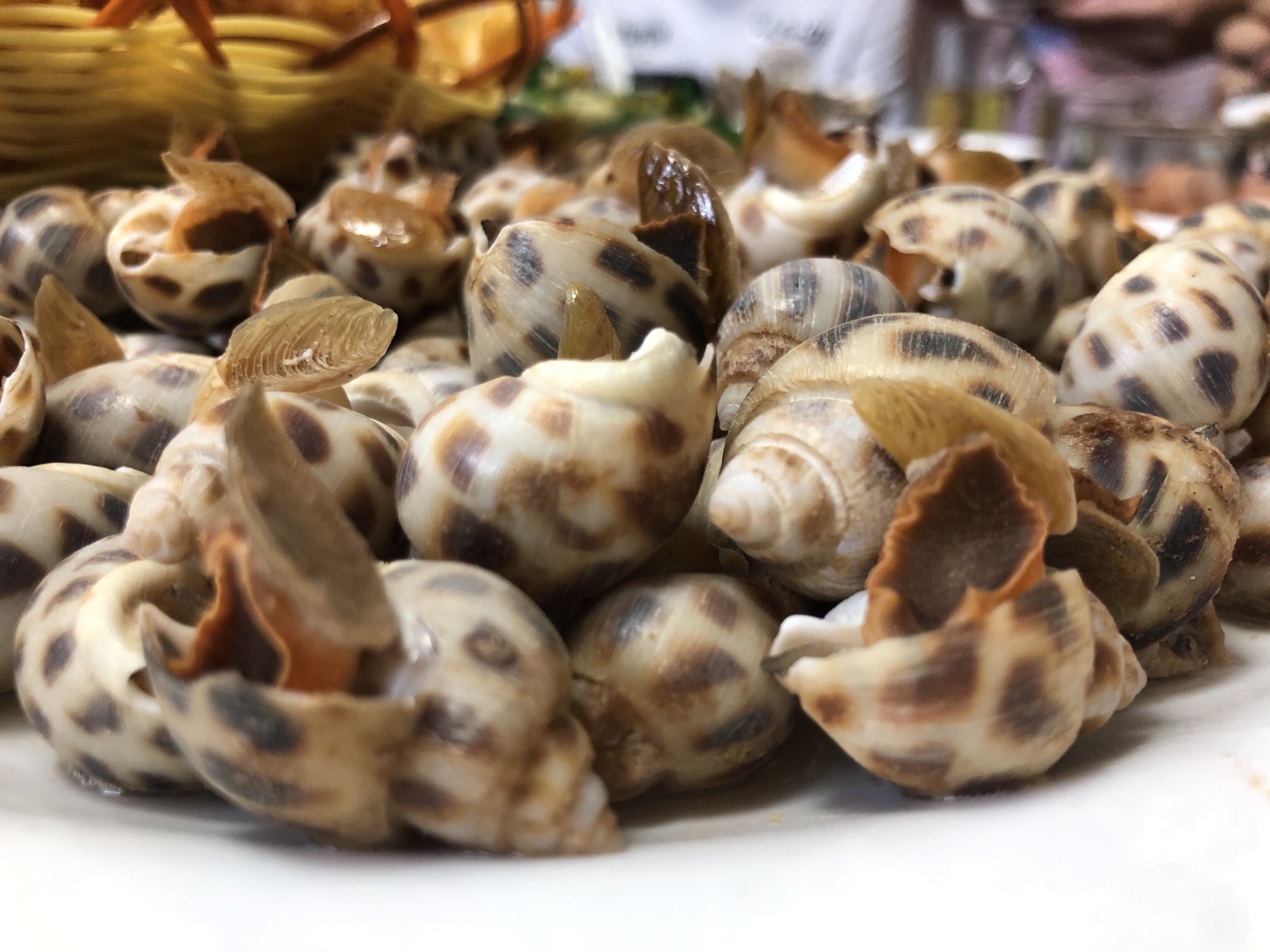 鲜海渔村(秀英兴海美食广场)