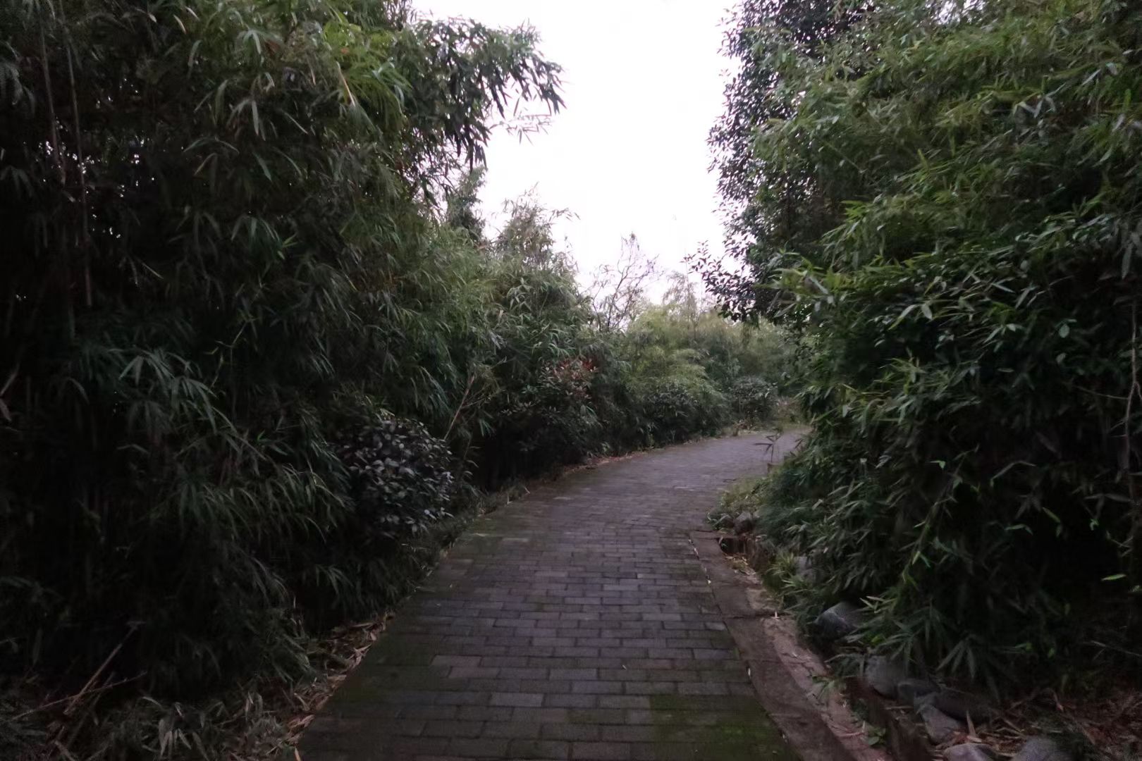 蜀望公园旅行图片 3