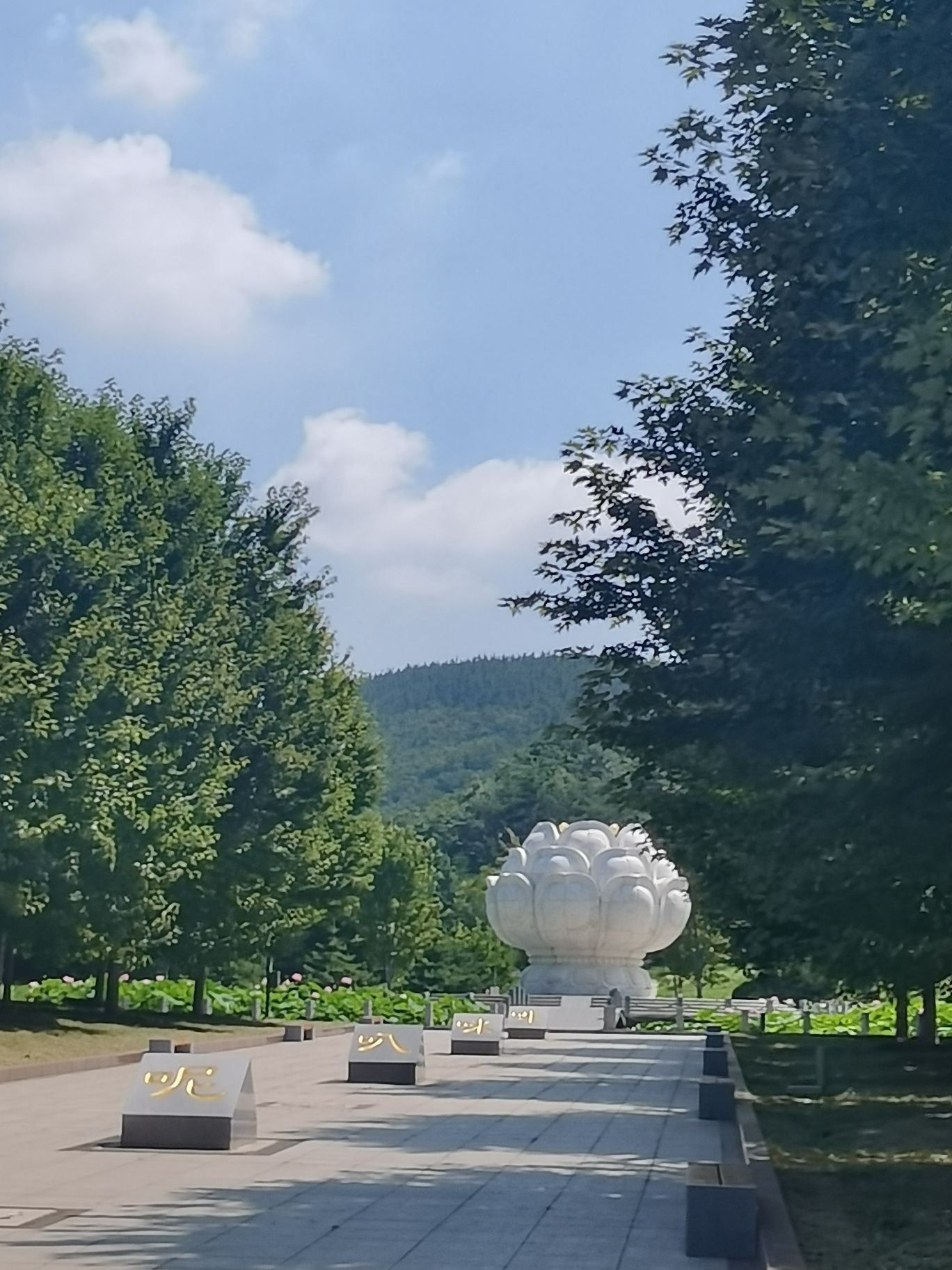 大连横山公园旅行图片 2