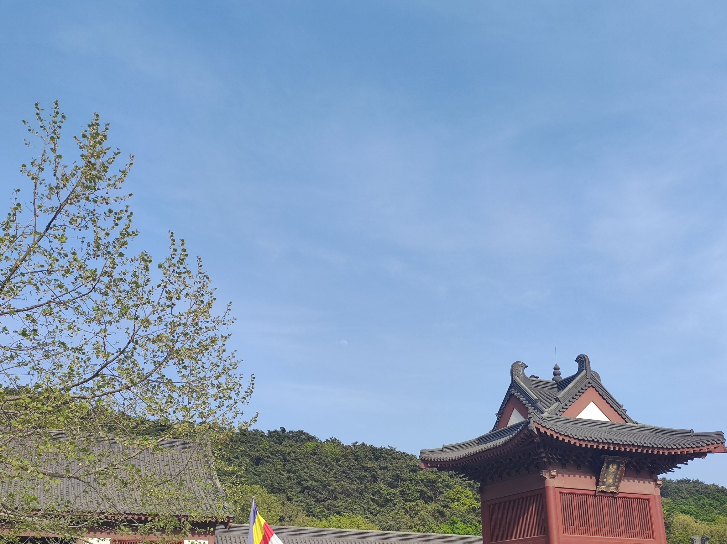 大连横山公园旅行图片 2