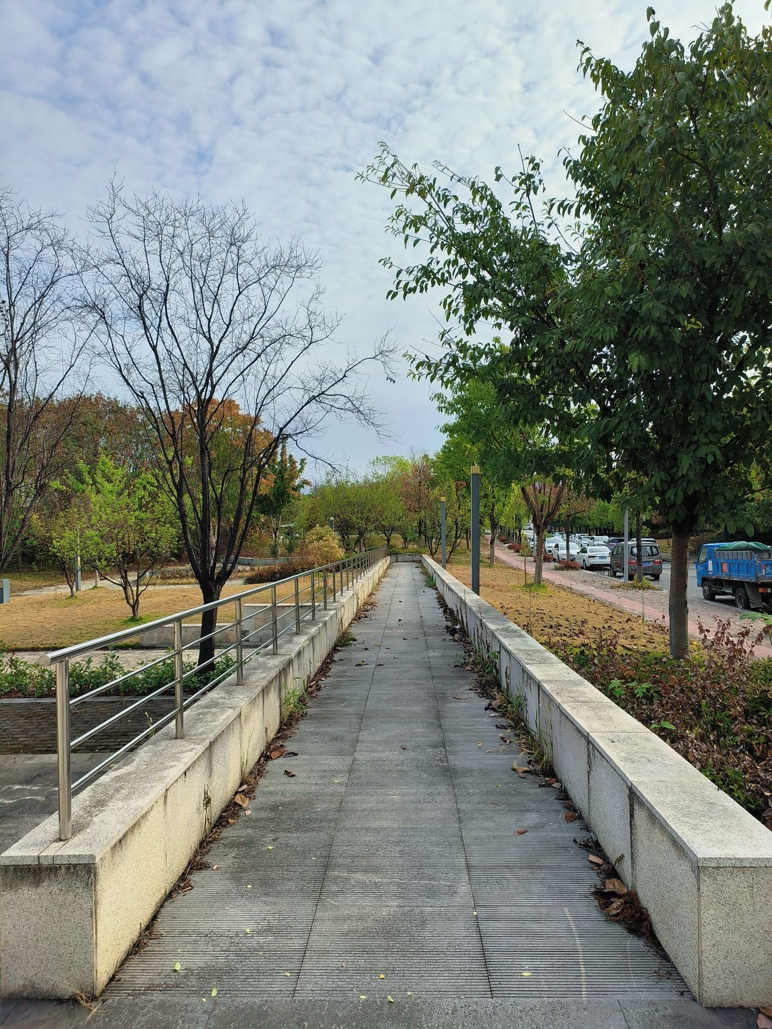 两江东湖公园旅行图片 3