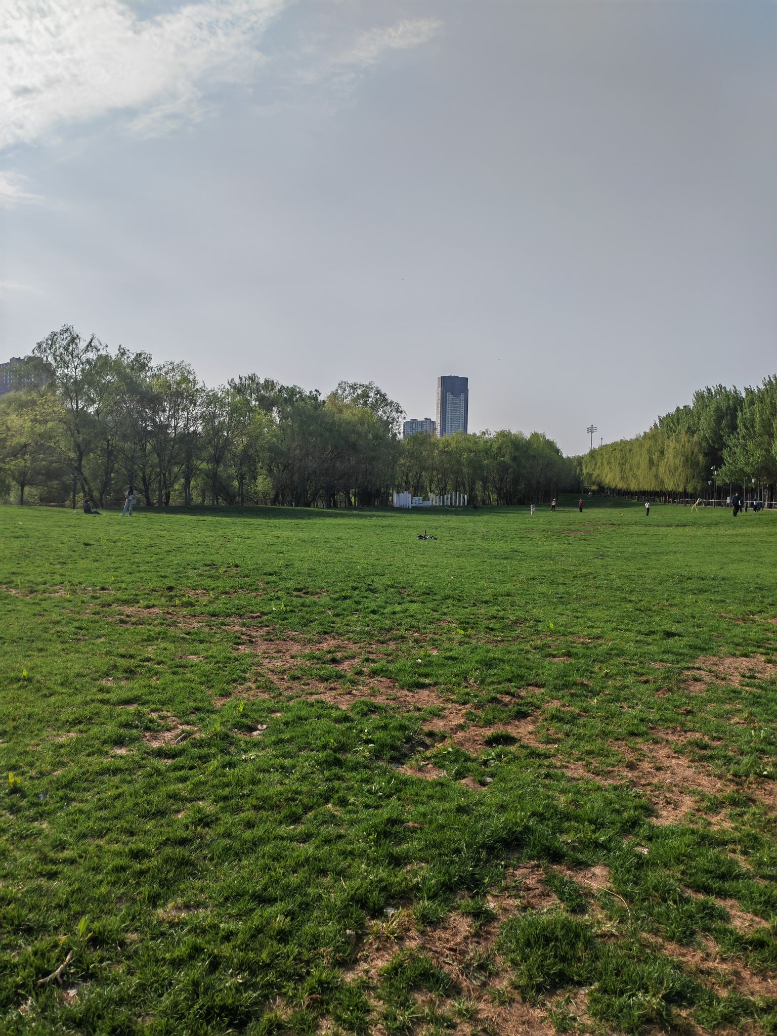 沈阳郎朗钢琴广场旅行图片 3