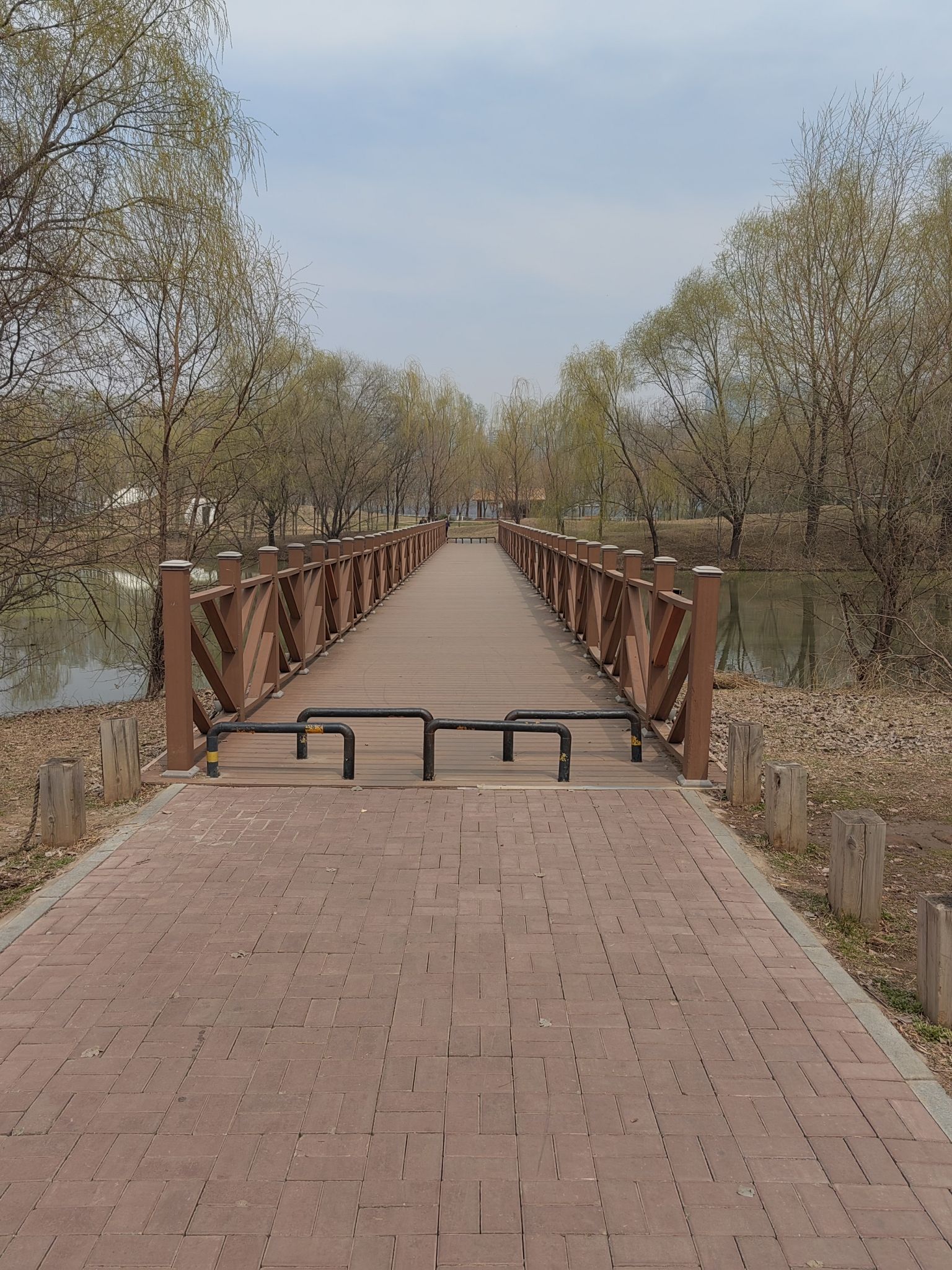 沈阳郎朗钢琴广场旅行图片 3