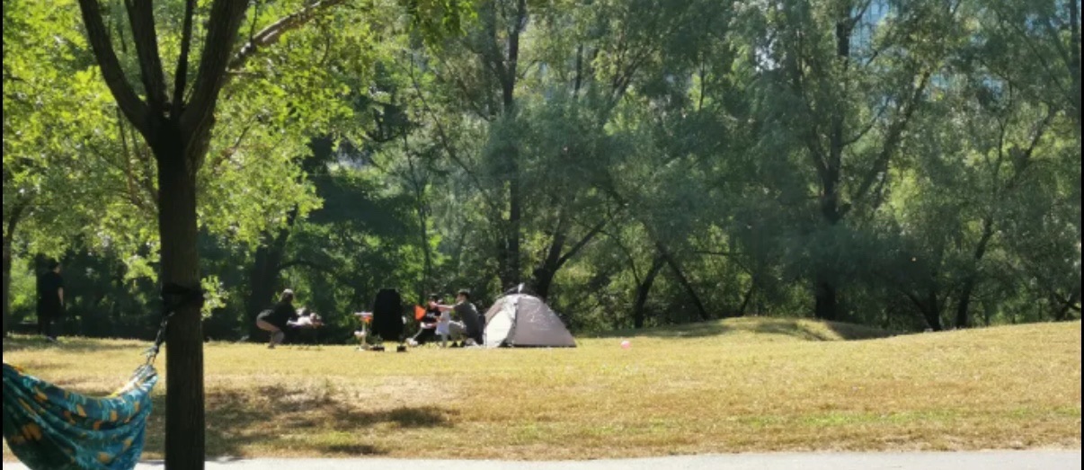 沈阳郎朗钢琴广场旅行图片 2