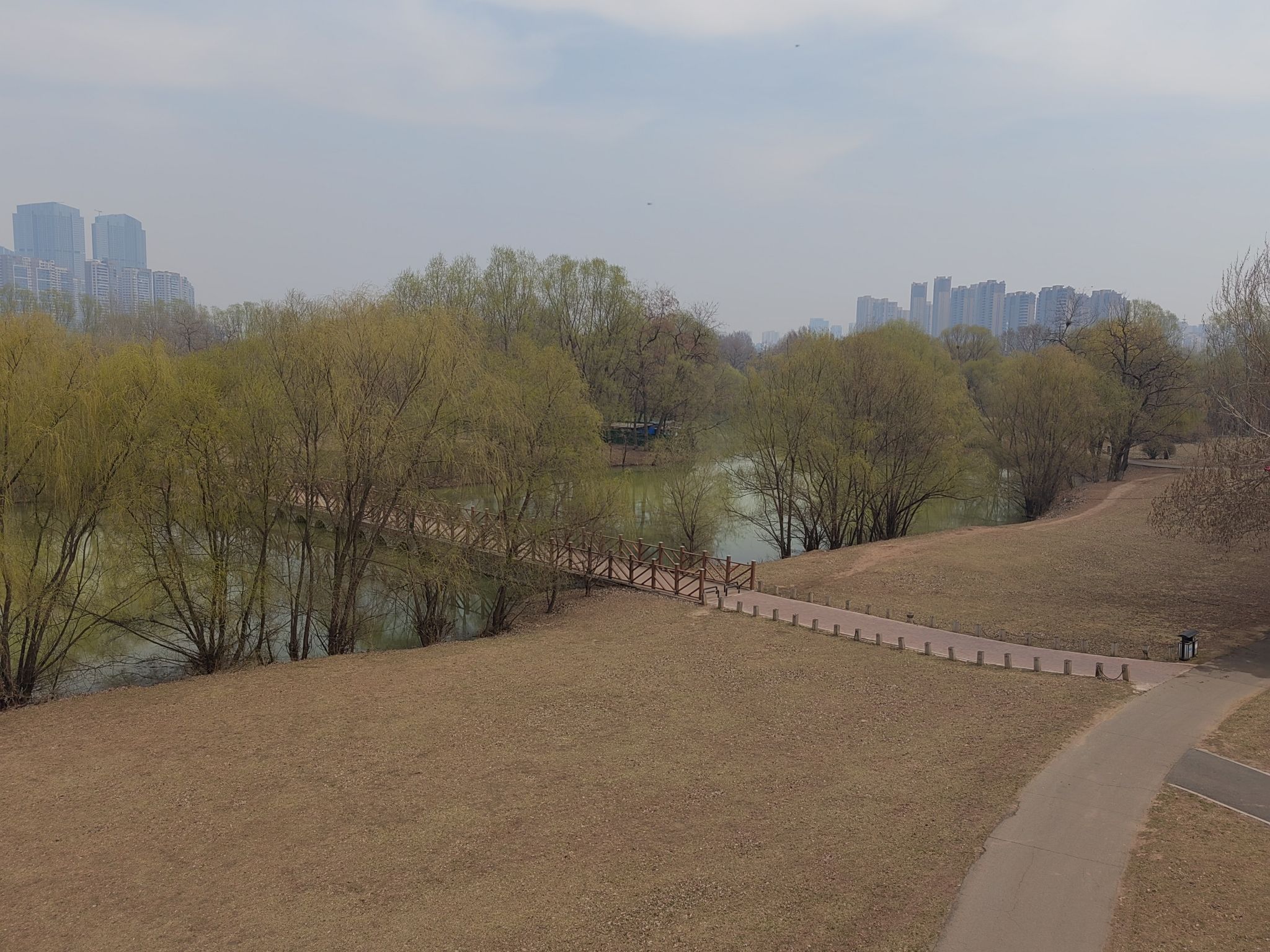 沈阳郎朗钢琴广场旅行图片 2