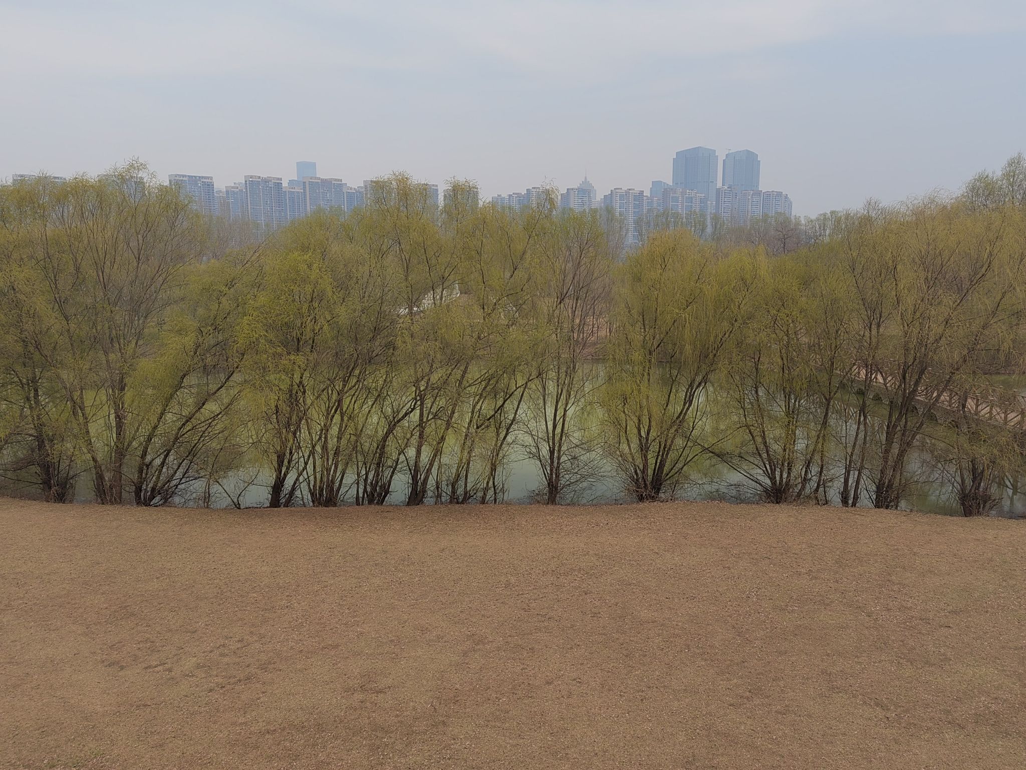 沈阳郎朗钢琴广场旅行图片 1