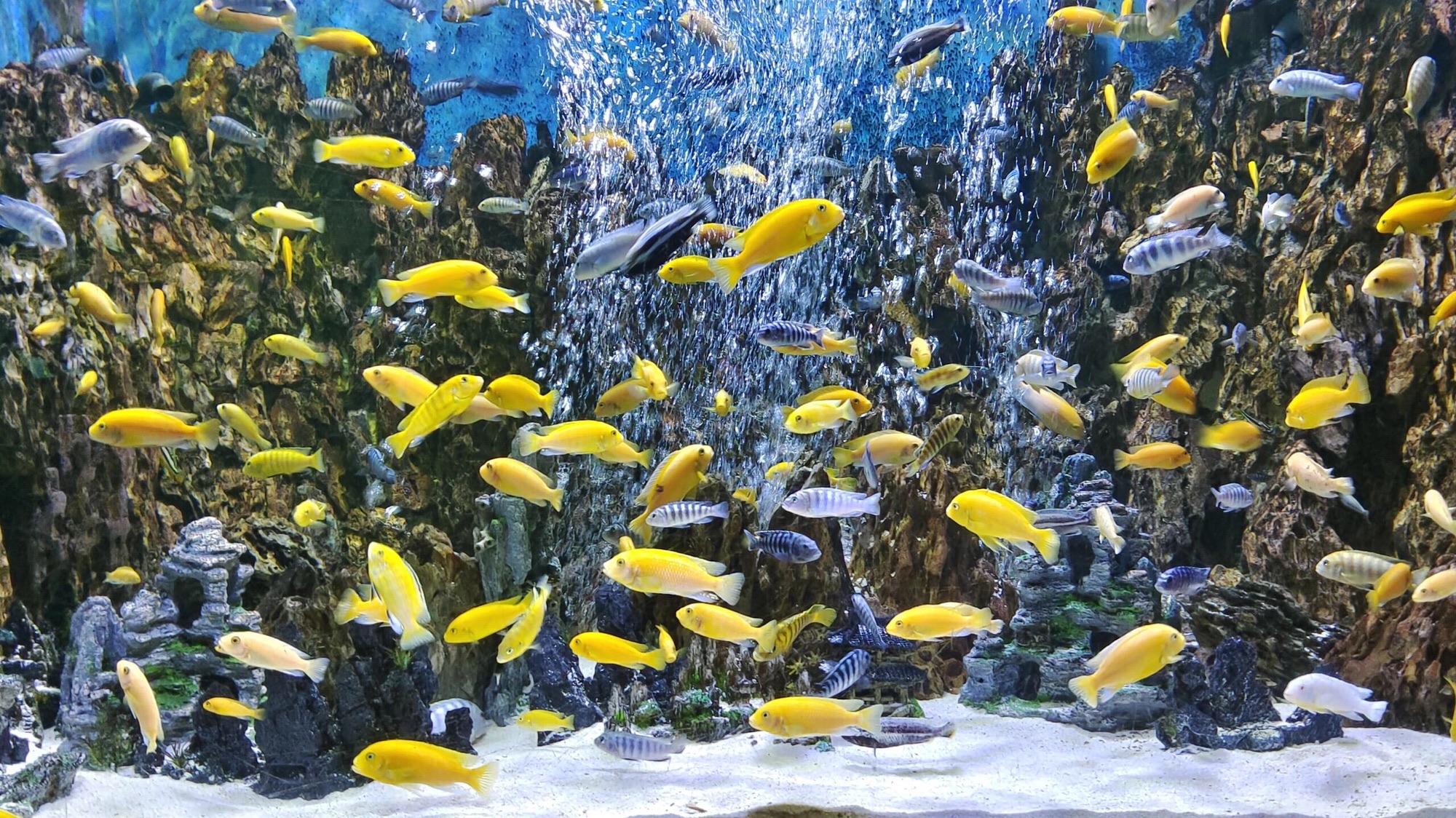赣州极地海洋世界旅行图片 1