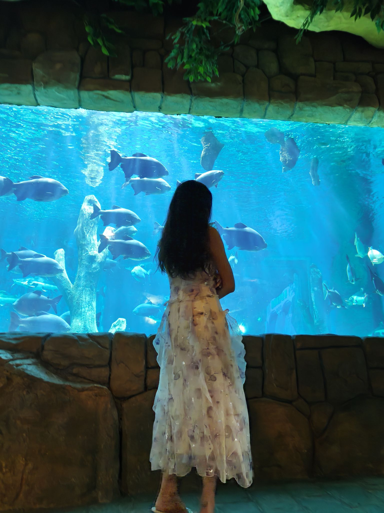 赣州极地海洋世界旅行图片 2