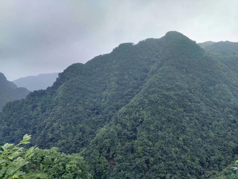 大鱼洞景区