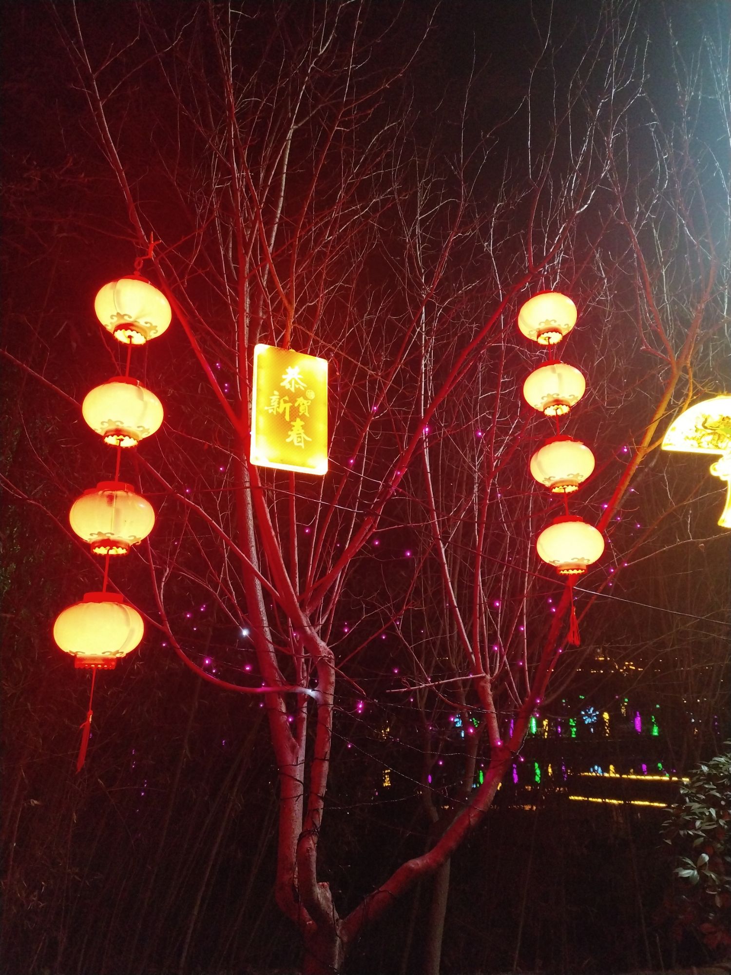 天佛风景名胜区旅行图片 1