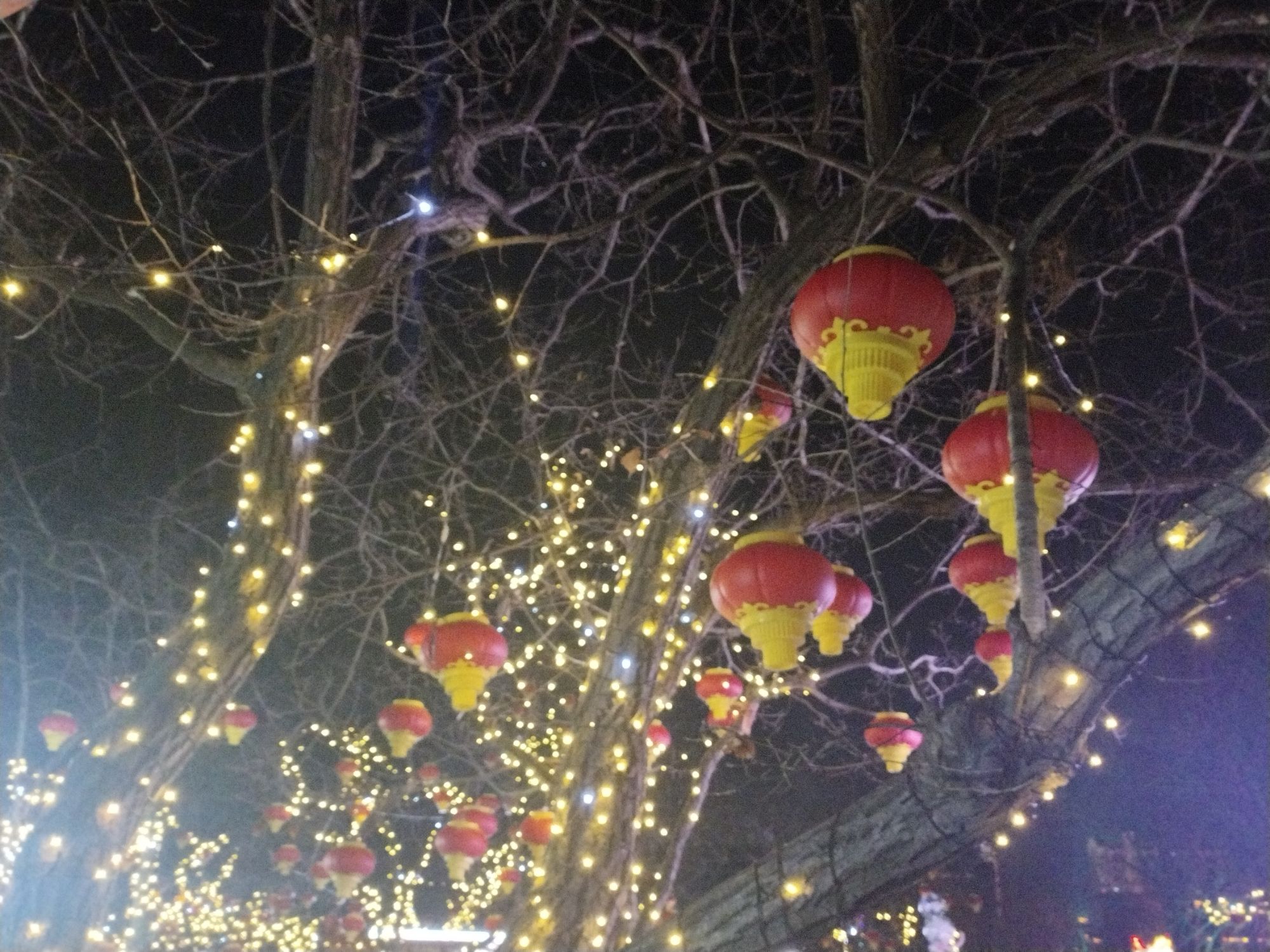 天佛风景名胜区旅行图片 3