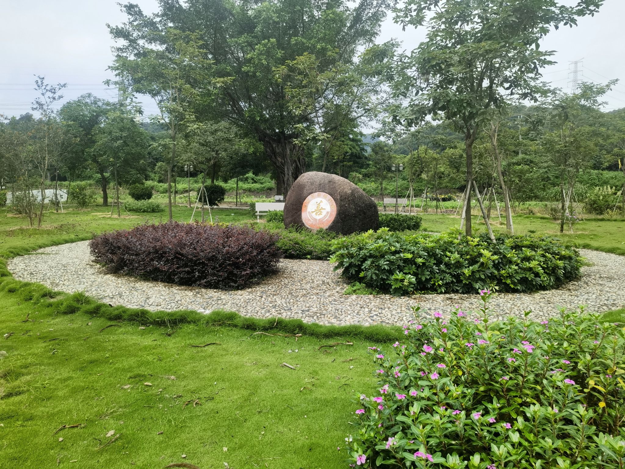 焦山寺旅行图片 2