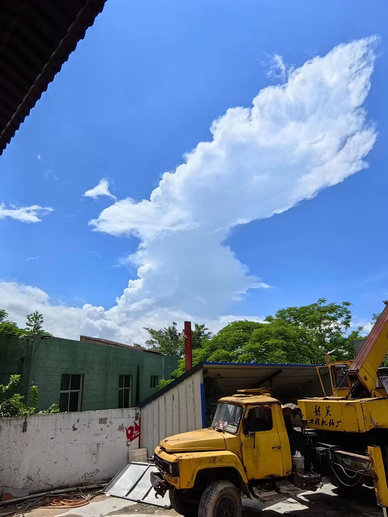 焦山寺旅行图片 1