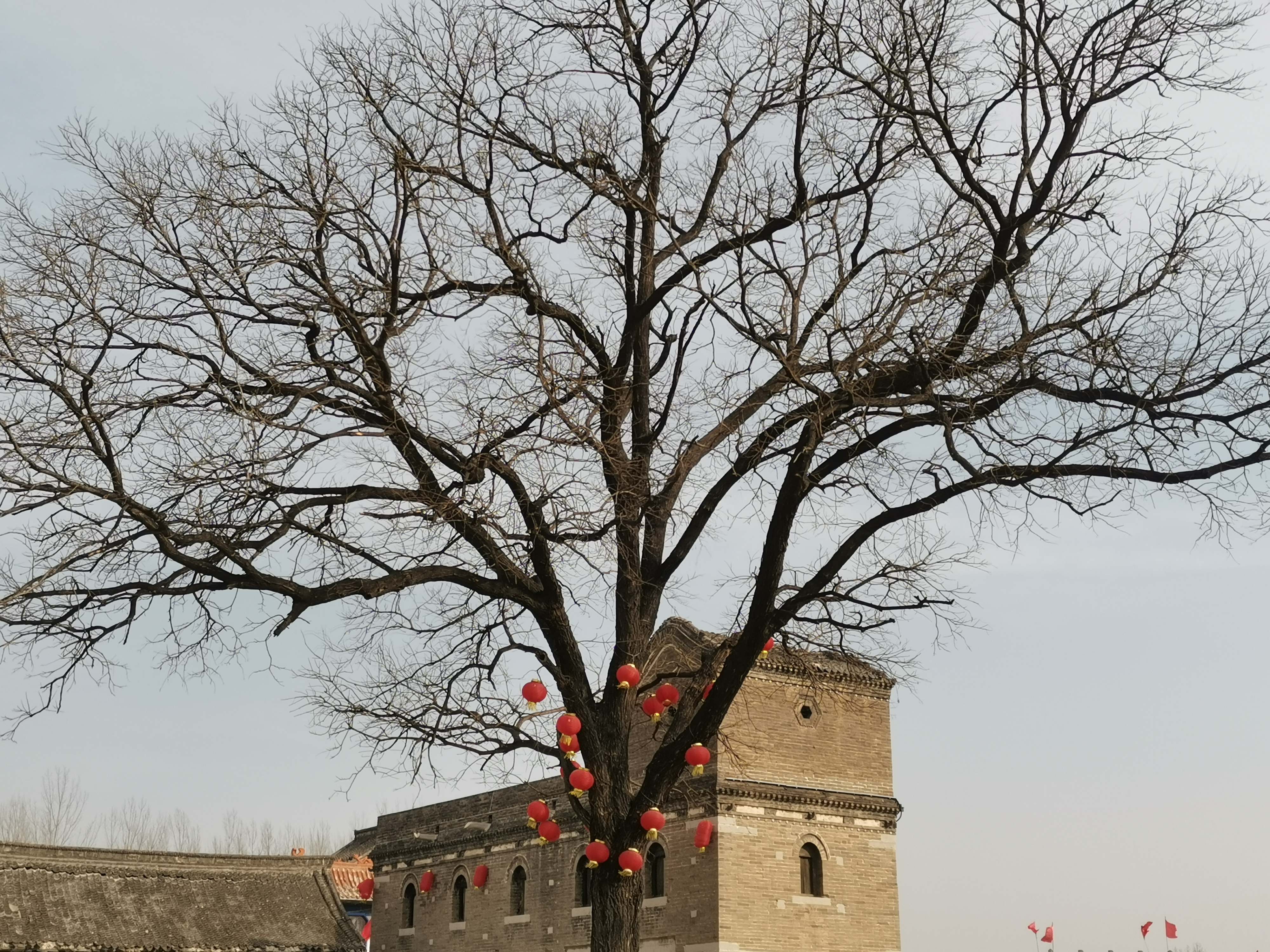 鹤壁李家大院旅行图片 1