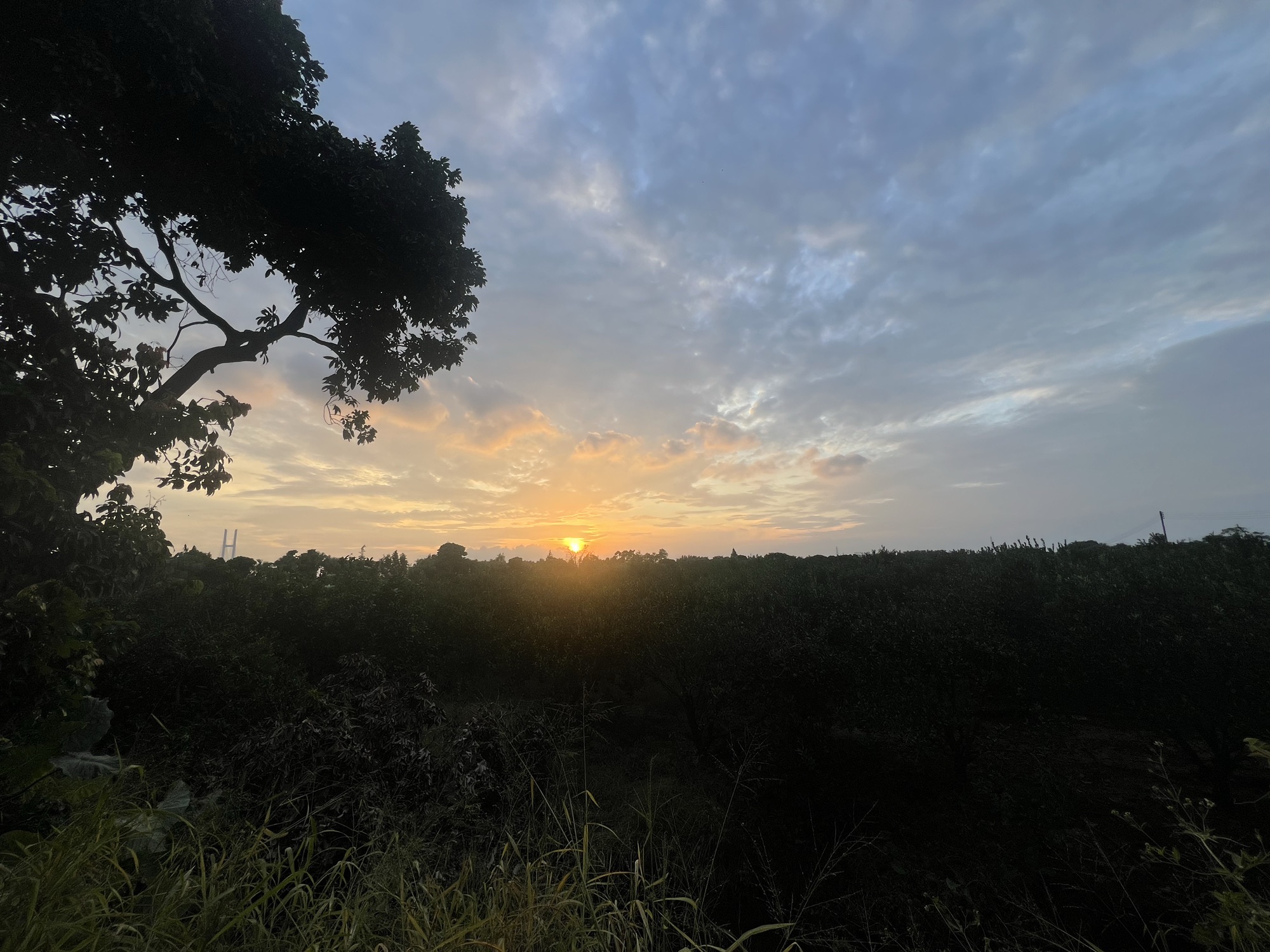 南坦葵林生态湿地公园旅行图片 3