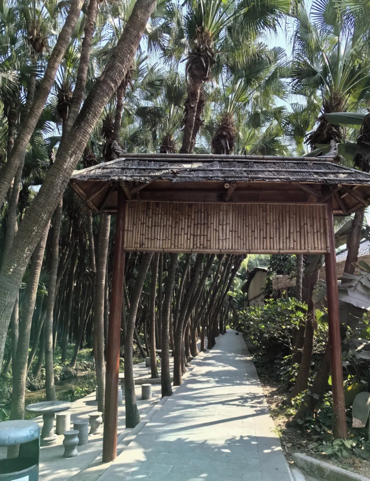 南坦葵林生态湿地公园旅行图片 2